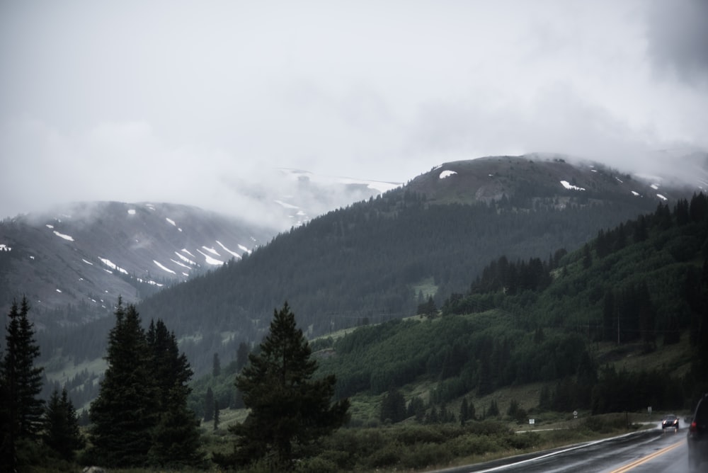 mountains covered with green leafed trees