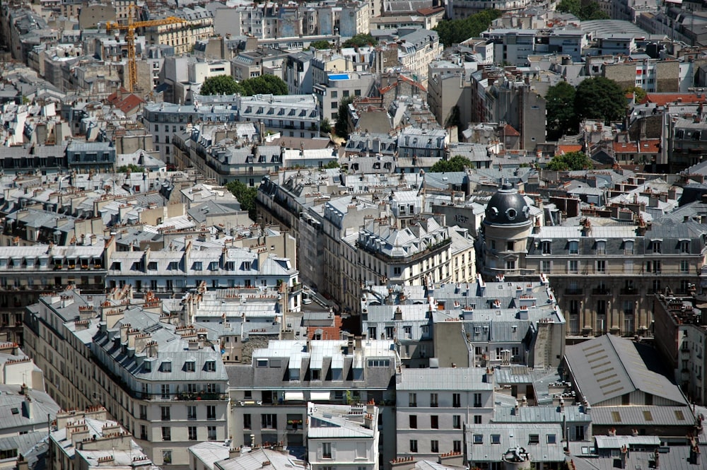 bird's eye view photography of city during daytime