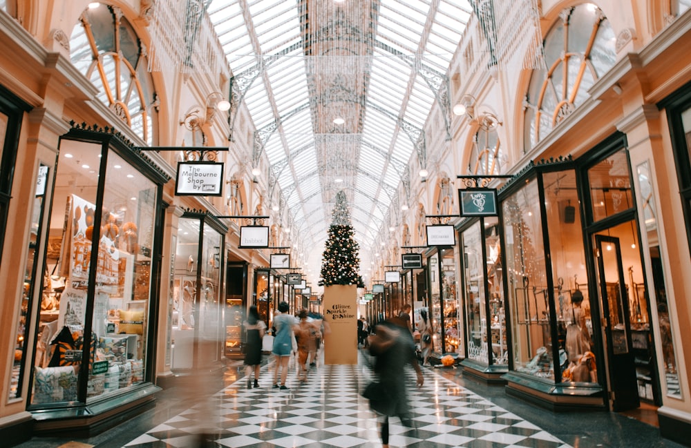 fall activities for stoners include holiday shopping. Image of shopping mall with blurred people milling about. There is a Christmas tree in focus. 