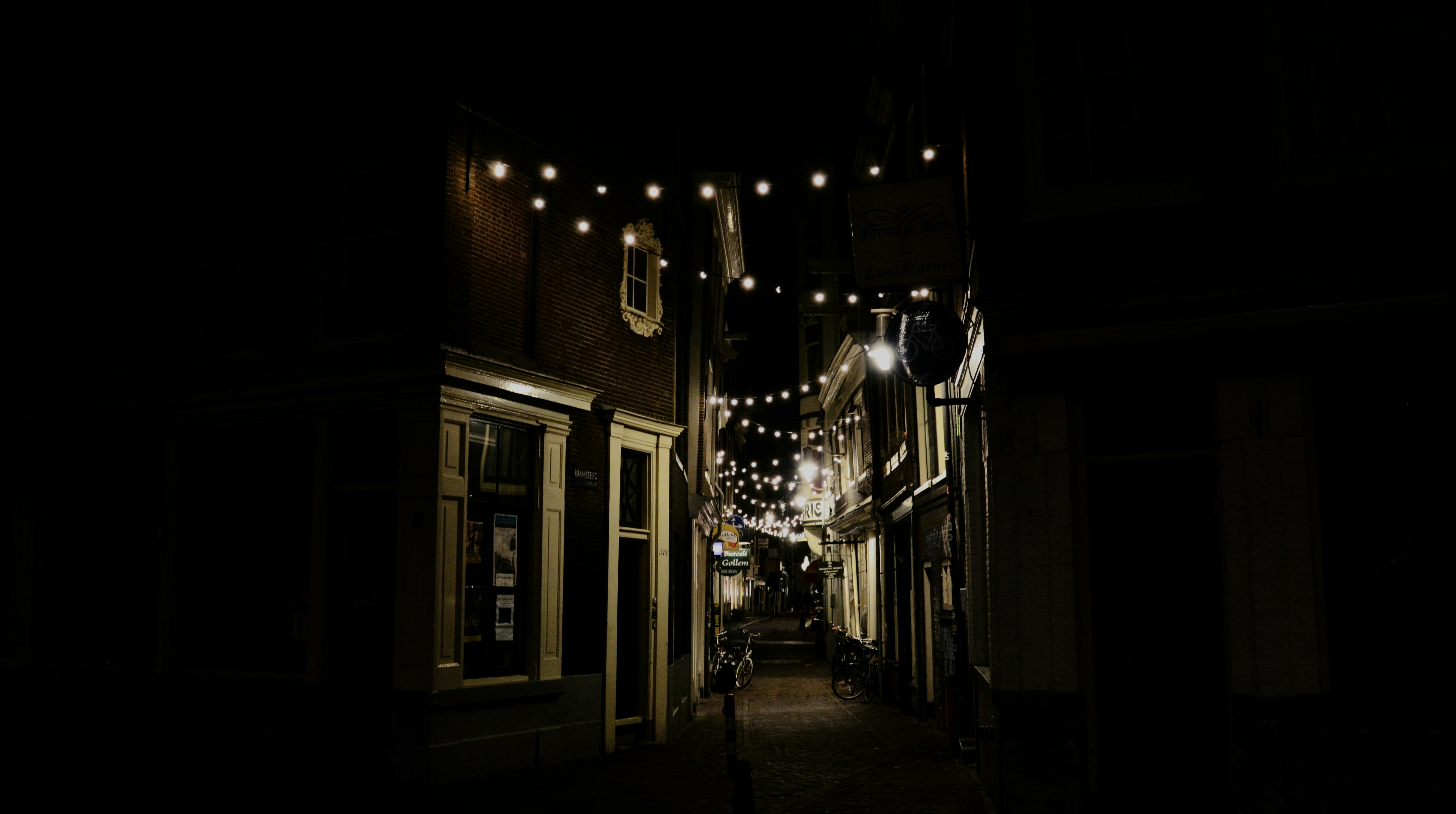 string bulbs on street by night