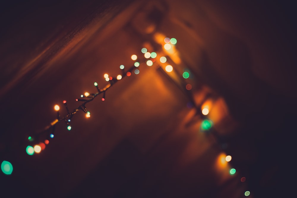 green and yellow string lights