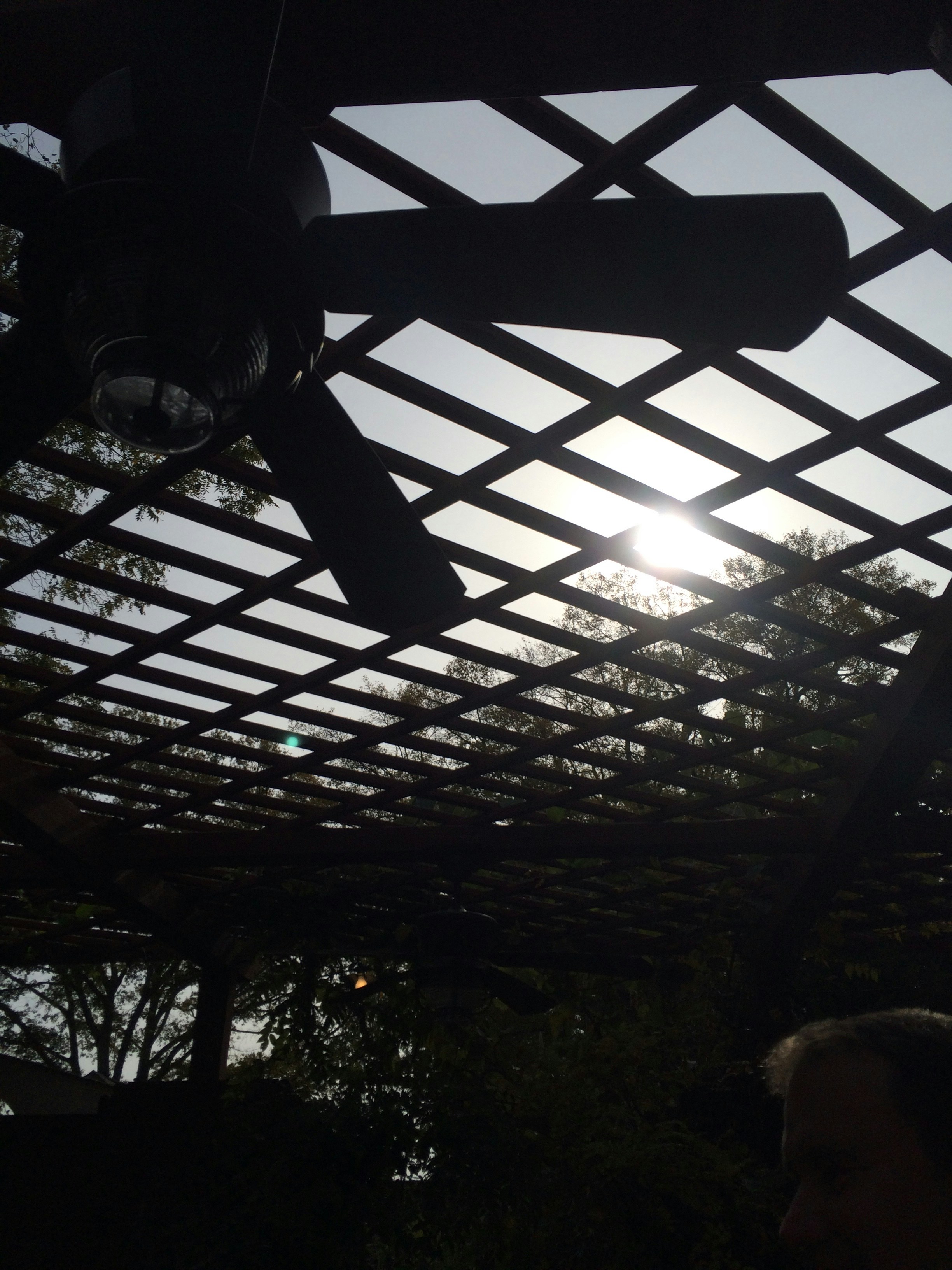 Free Unsplash photo from Sarah Hagle