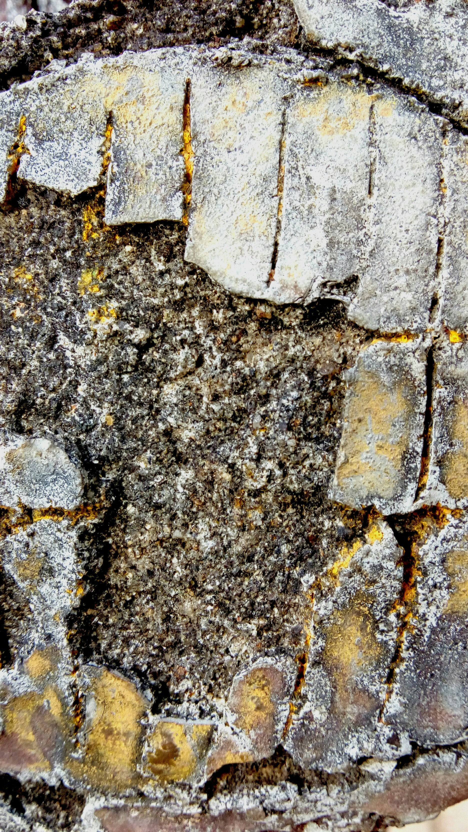 Free Unsplash photo from starboy 8