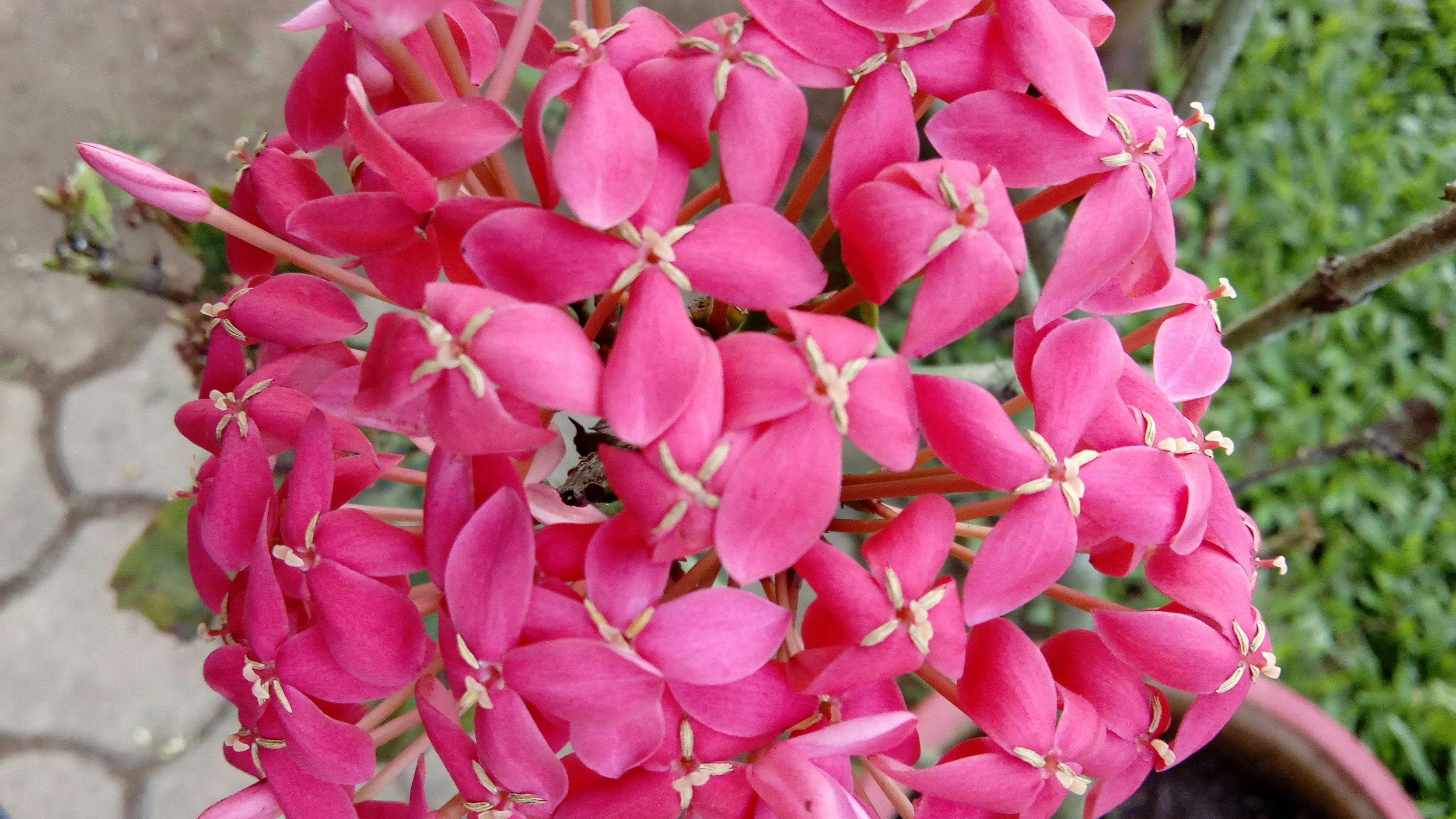 Free Unsplash photo from starboy 8