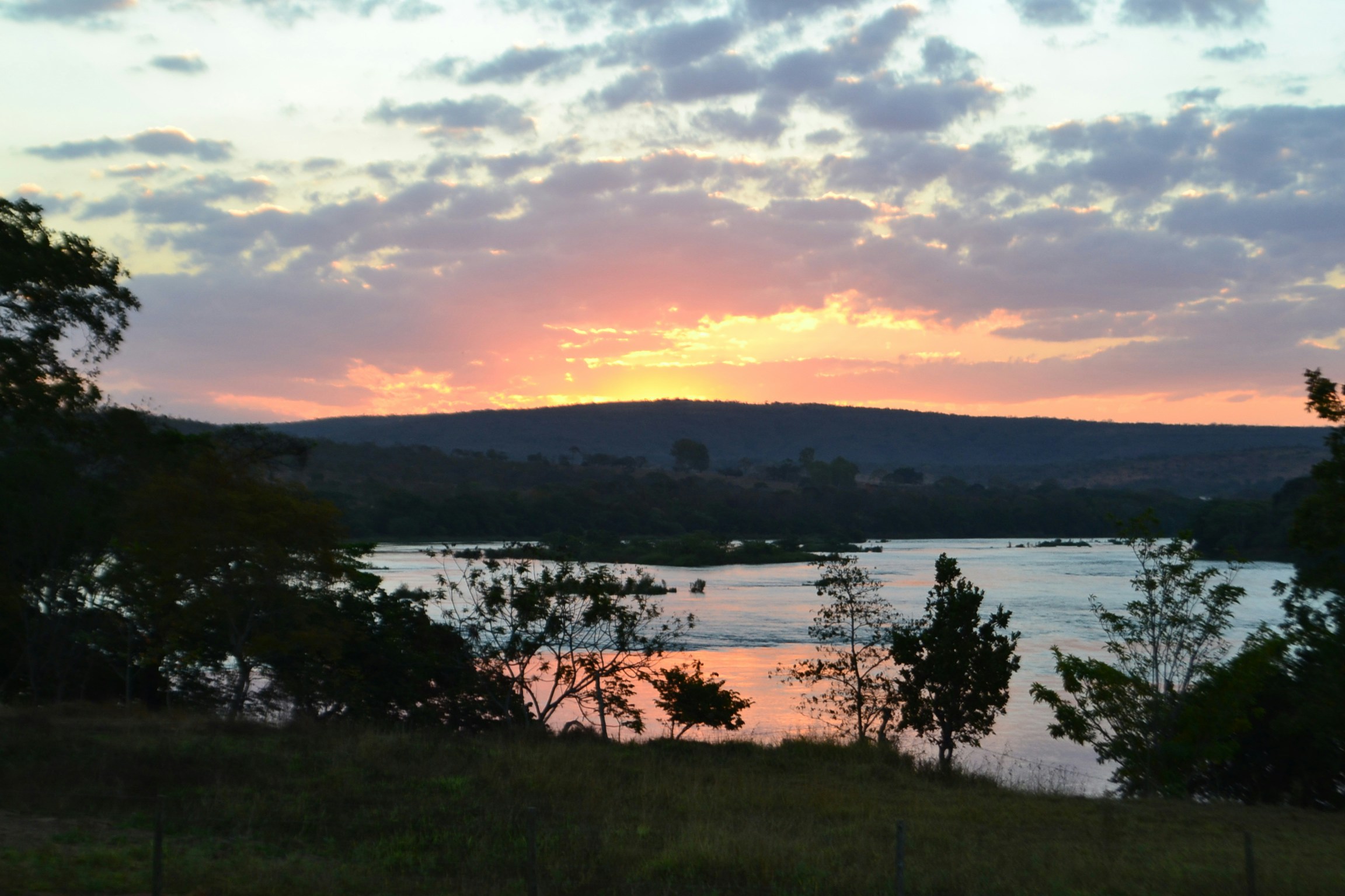 Free Unsplash photo from FERNANDO LATINI