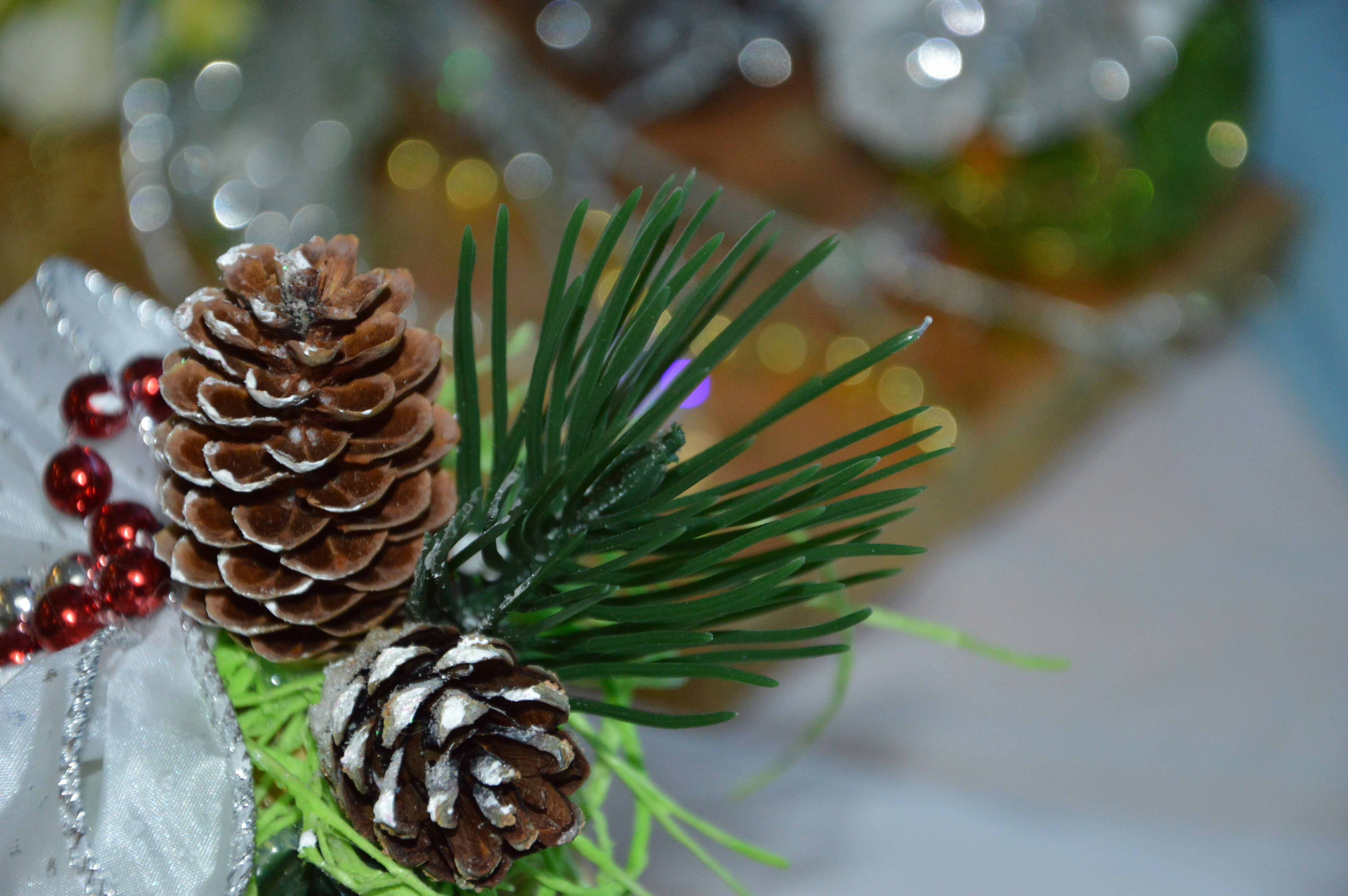 Free Unsplash photo from Виктор Вальтер