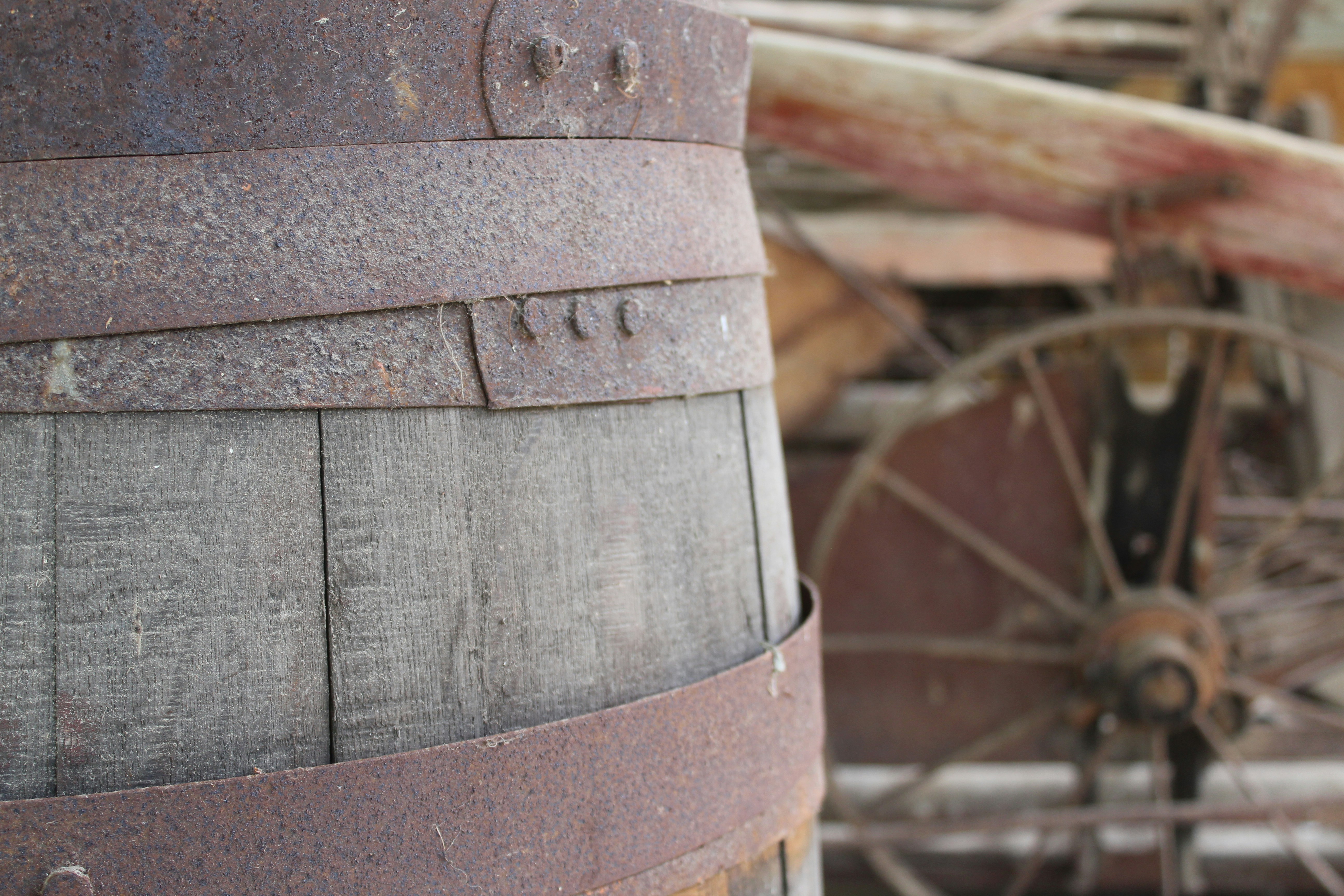 Free Unsplash photo from Hannah Tan