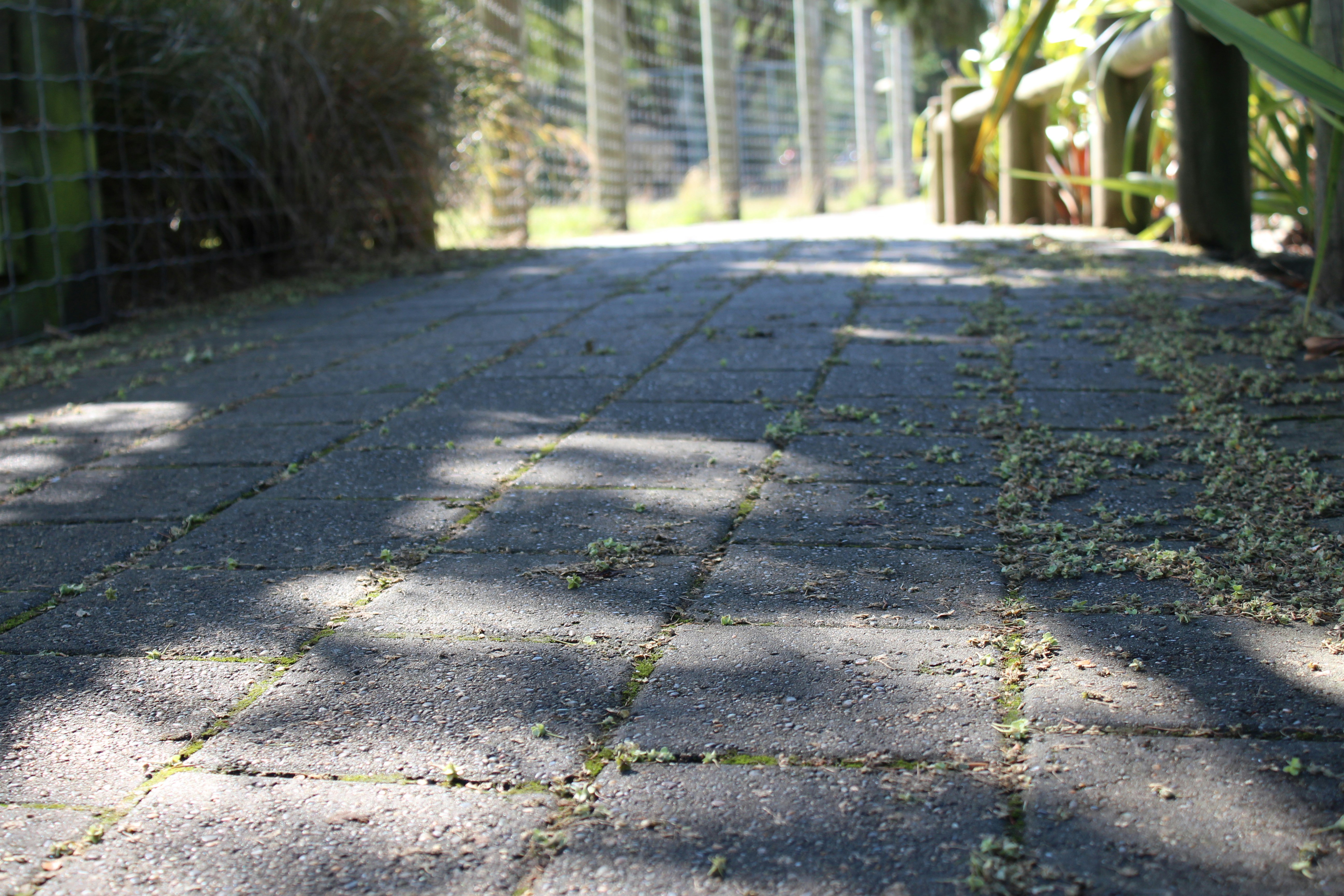 Free Unsplash photo from Hannah Tan