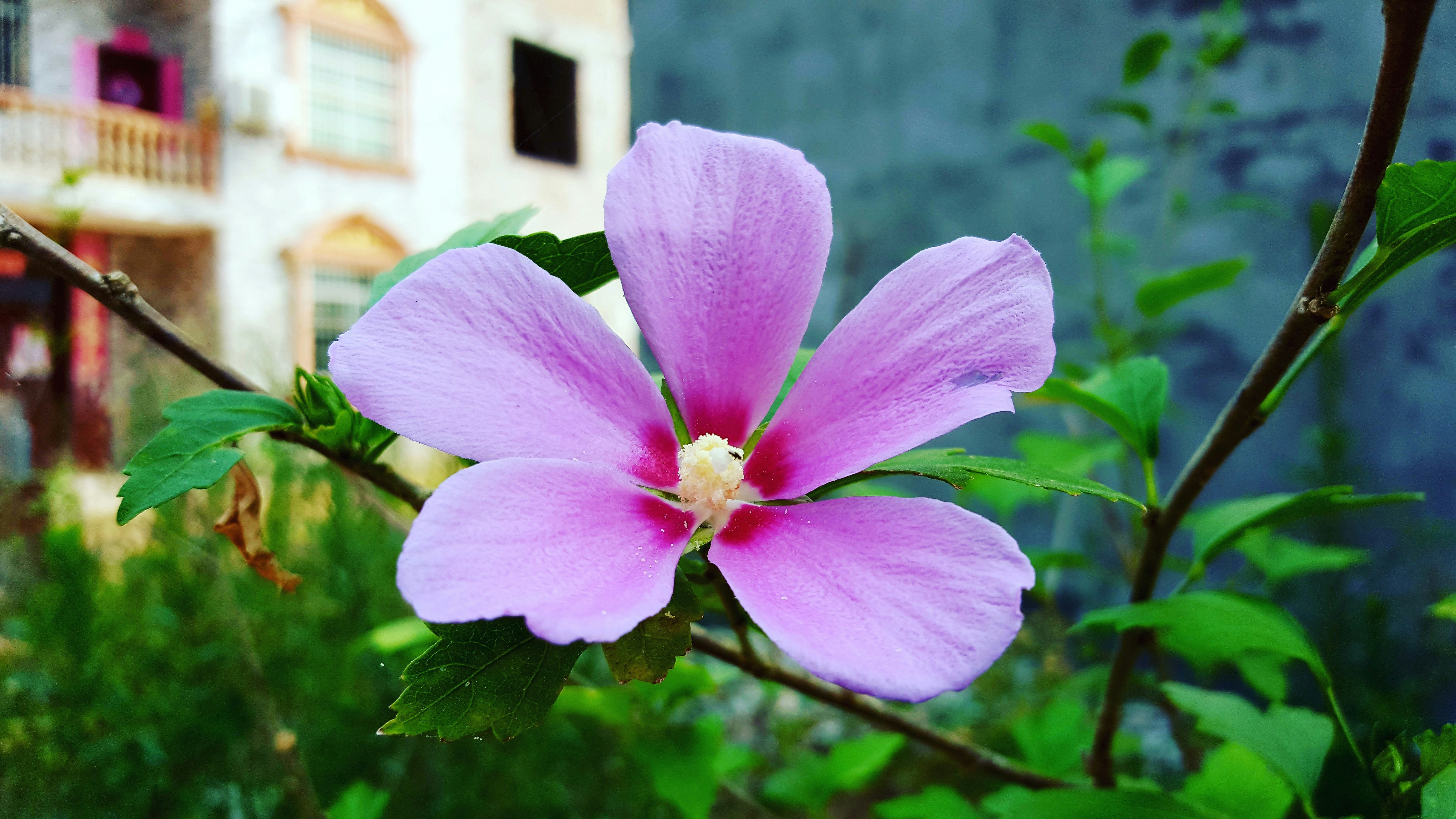 Free Unsplash photo from Kevin Wang