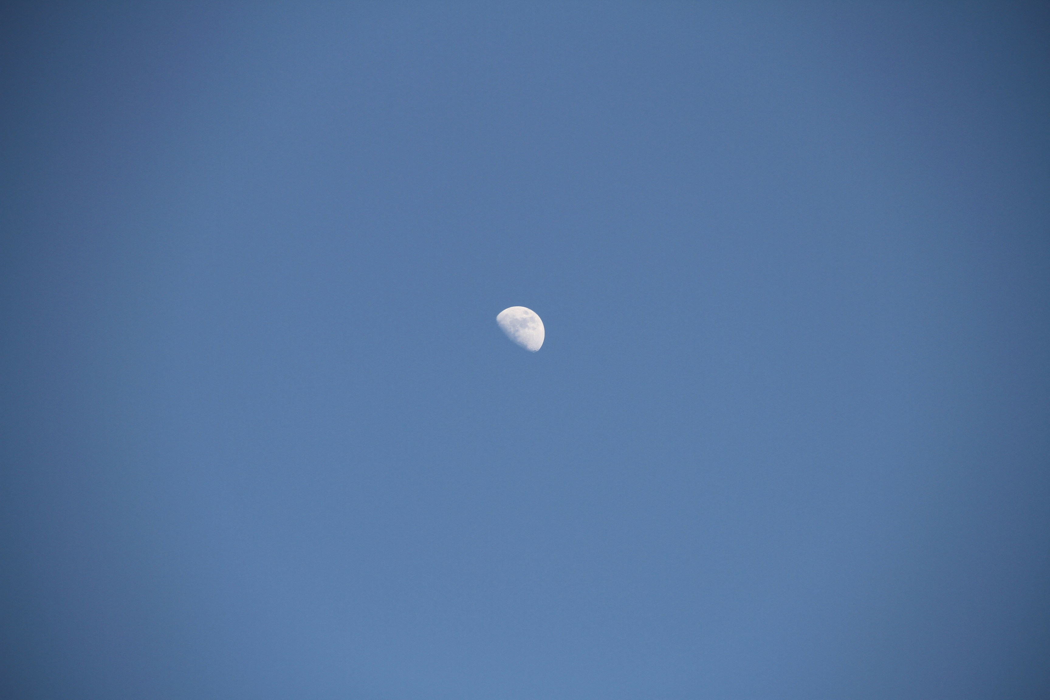 Free Unsplash photo from Mans Tankibayev