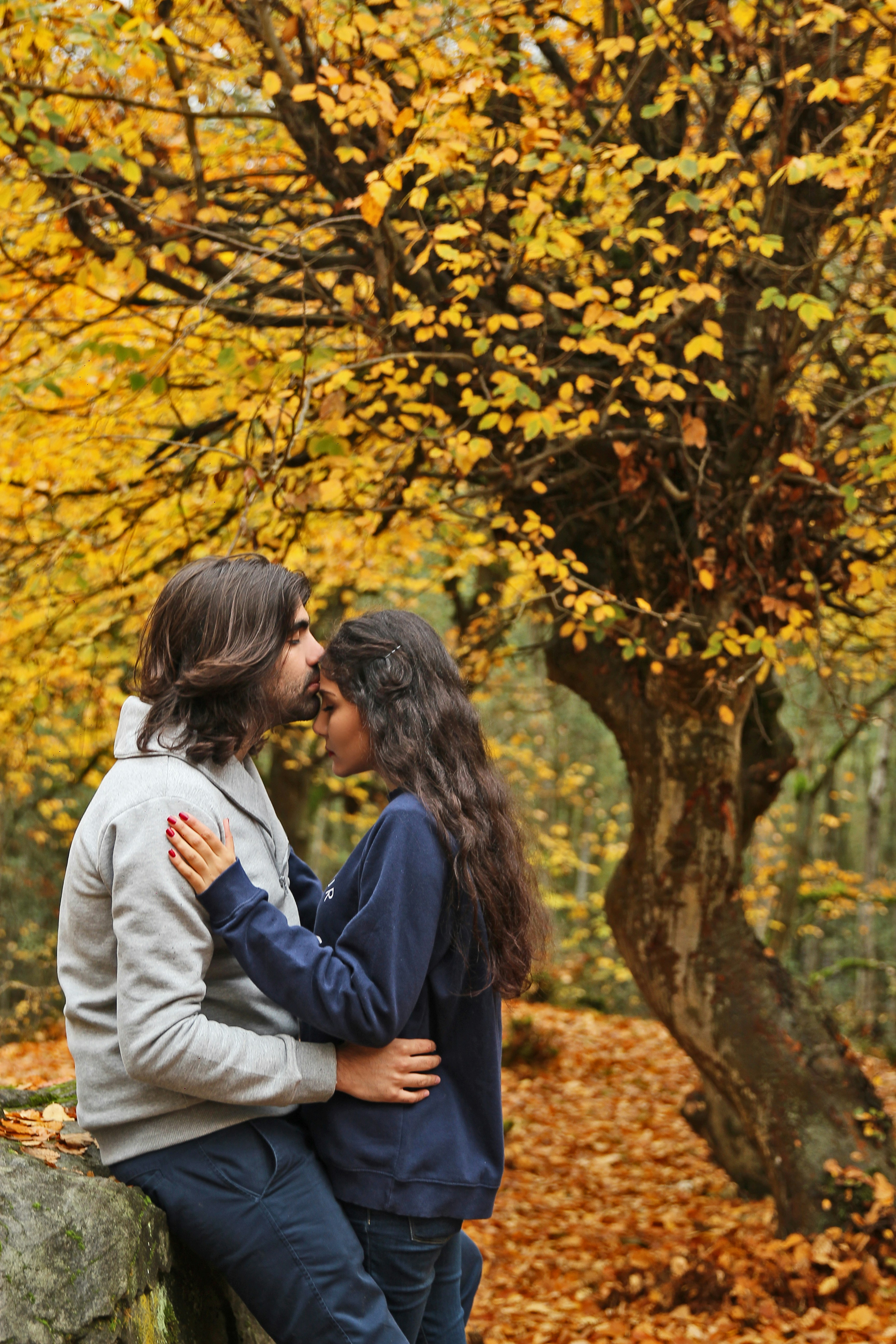 Free Unsplash photo from Javad Chitgar Rahimi