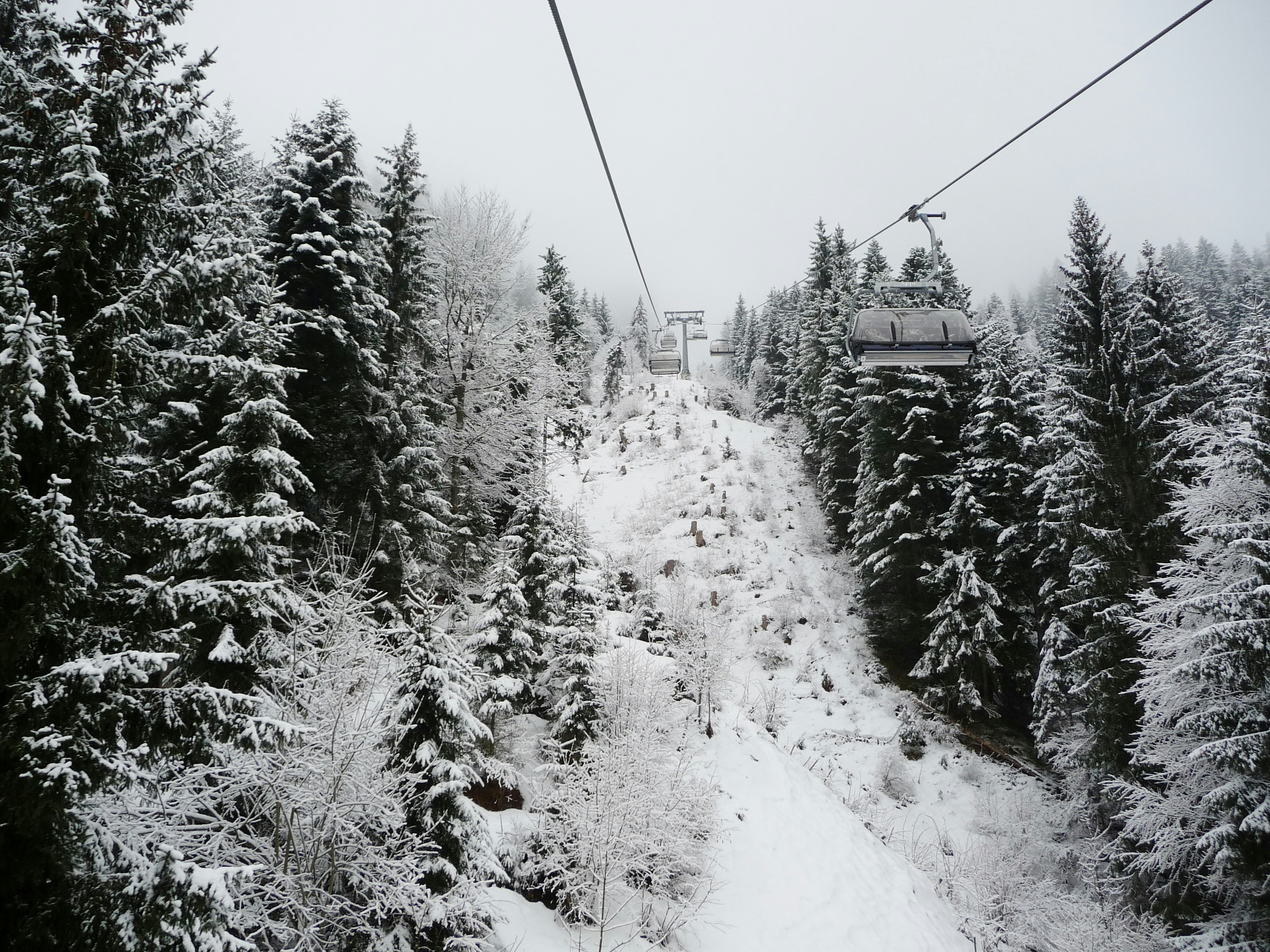 Free Unsplash photo from Helen Anderson