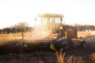 Farmers operating a forage machine in a sunny field, harvesting crops efficiently.