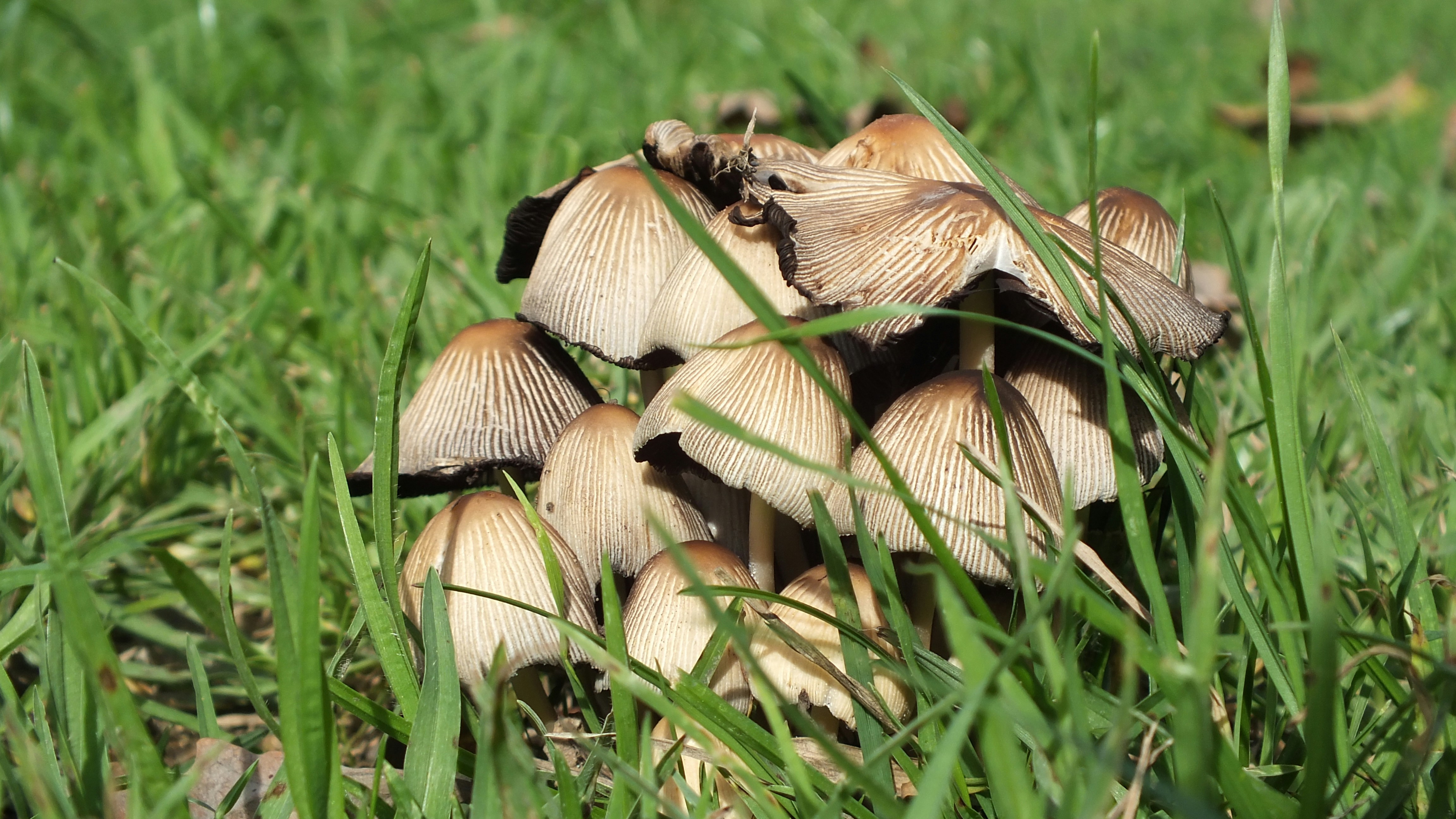 Free Unsplash photo from Polliana Zocche