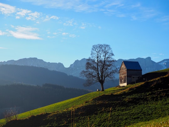 brown wooden house in Appenzell District Switzerland