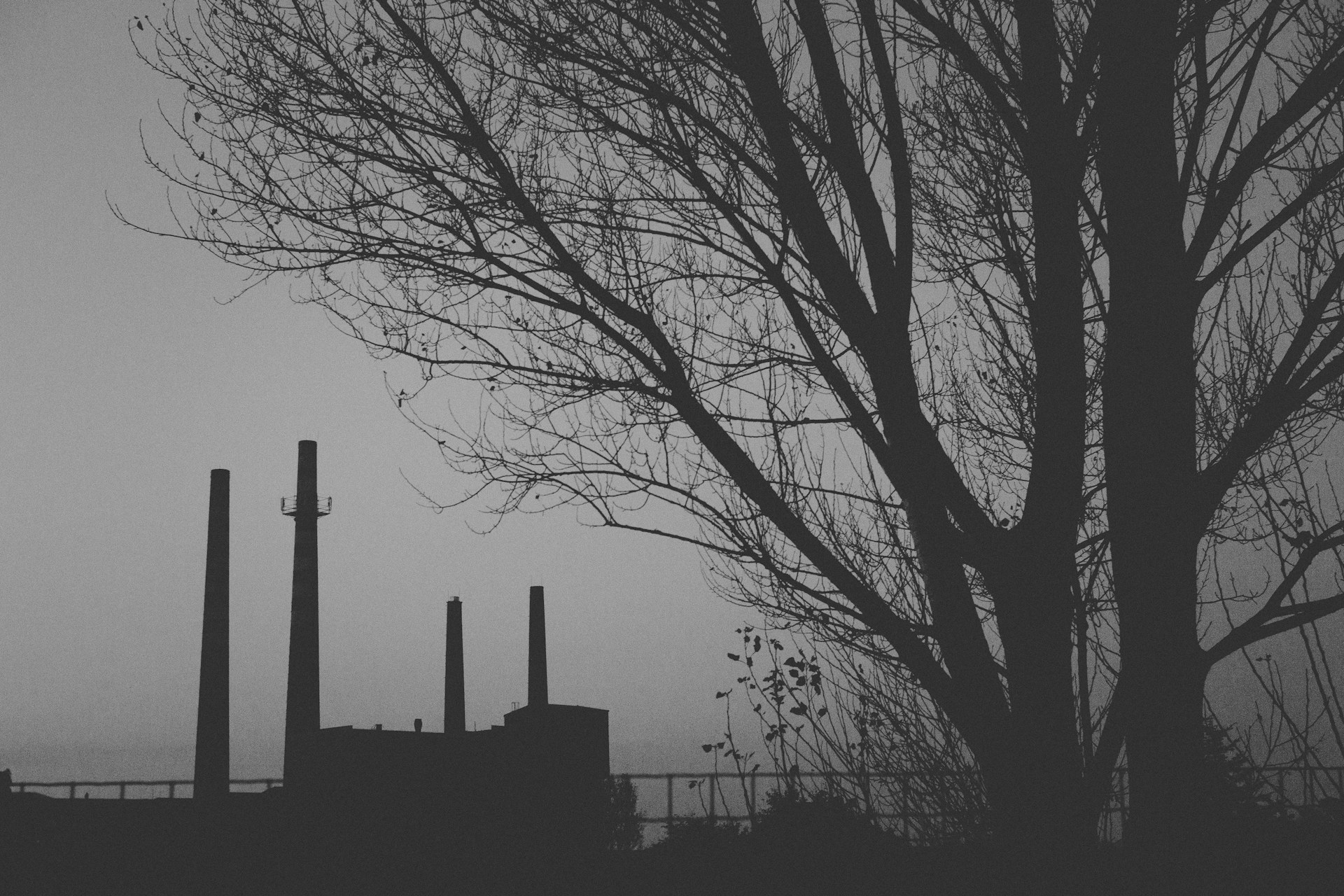 A powerful image highlighting environmental impact, with a lone tree standing amidst industrial smoke.