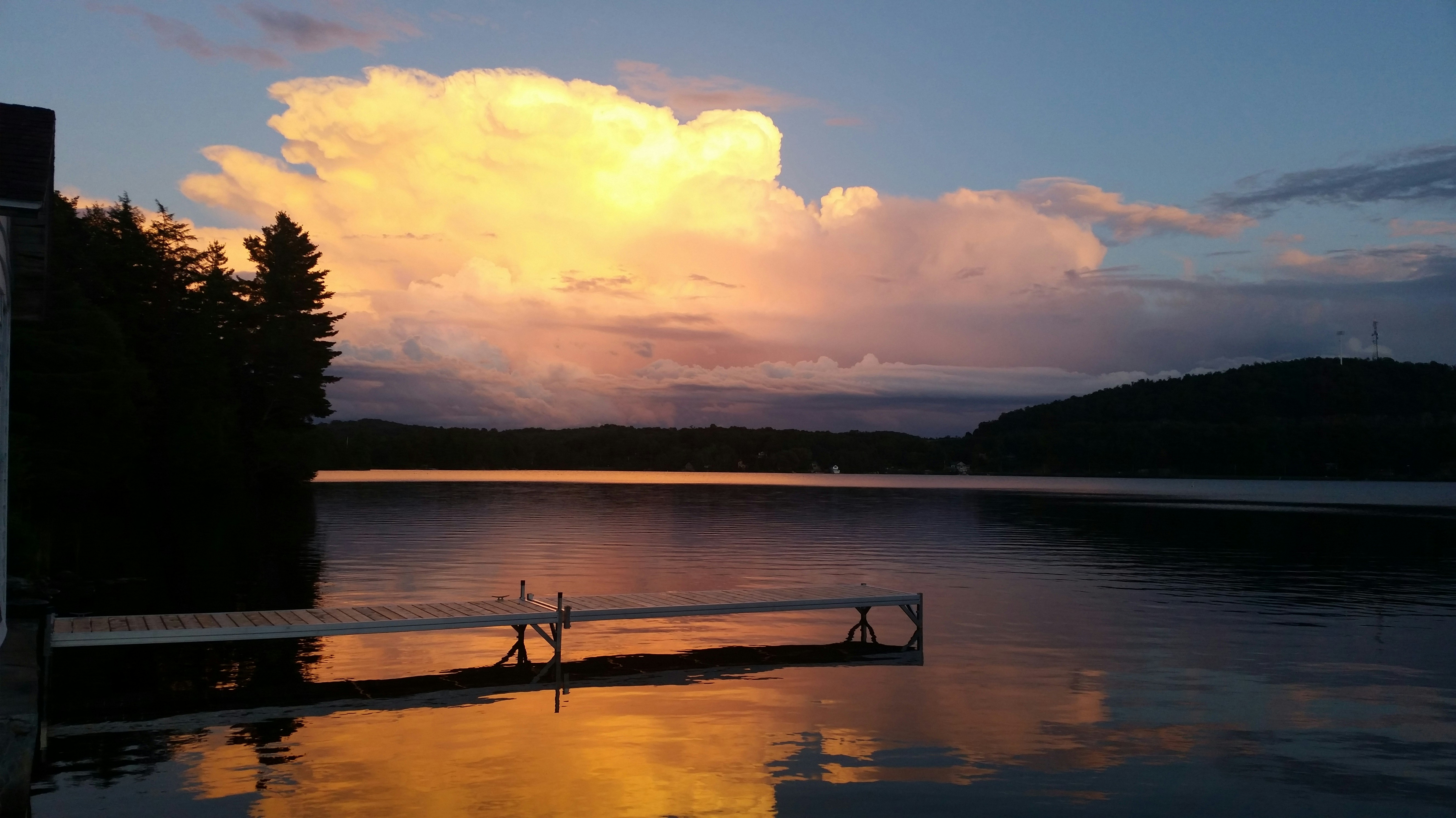 Free Unsplash photo from Alicia Ruel