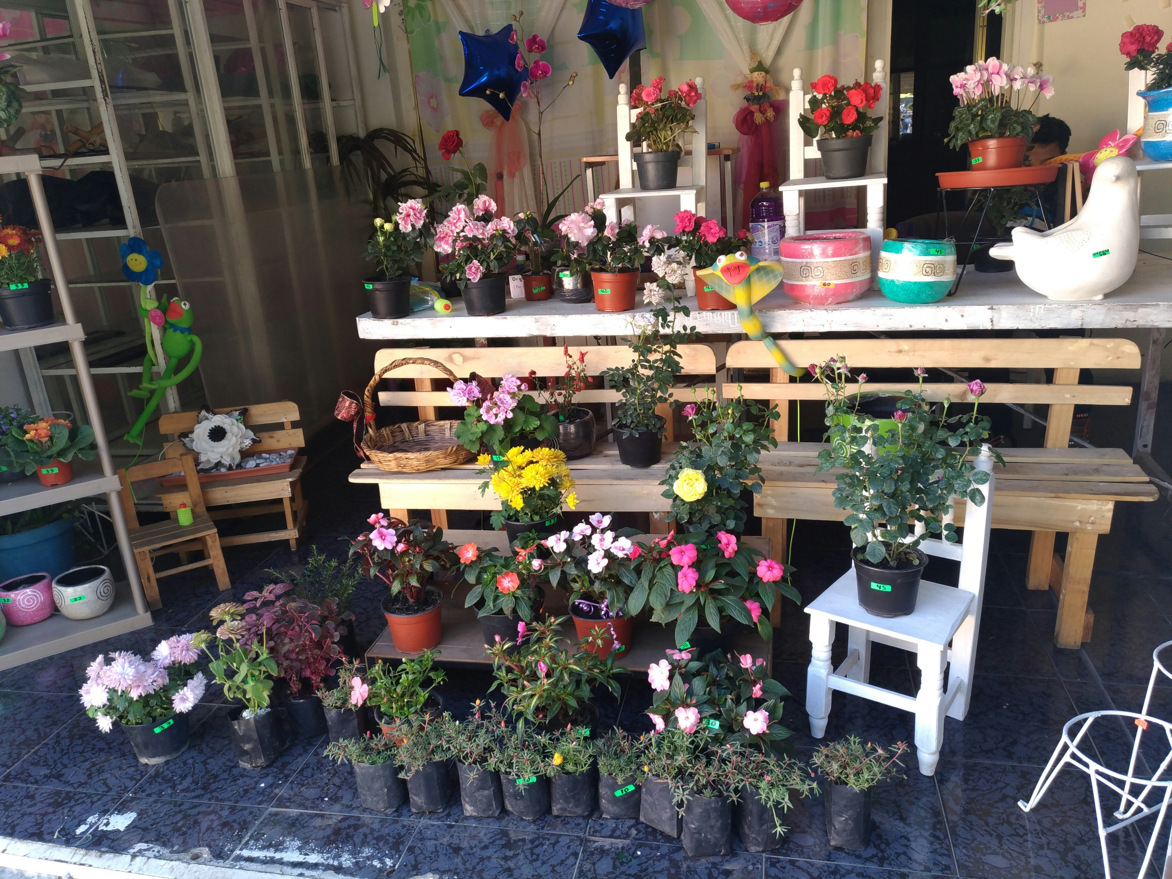 Free Unsplash photo from Mario Sanz R