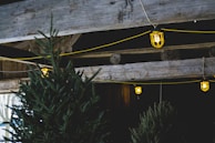 Outdoor celebration with rustic decorations and string lights