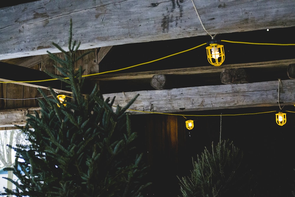 yellow string lights