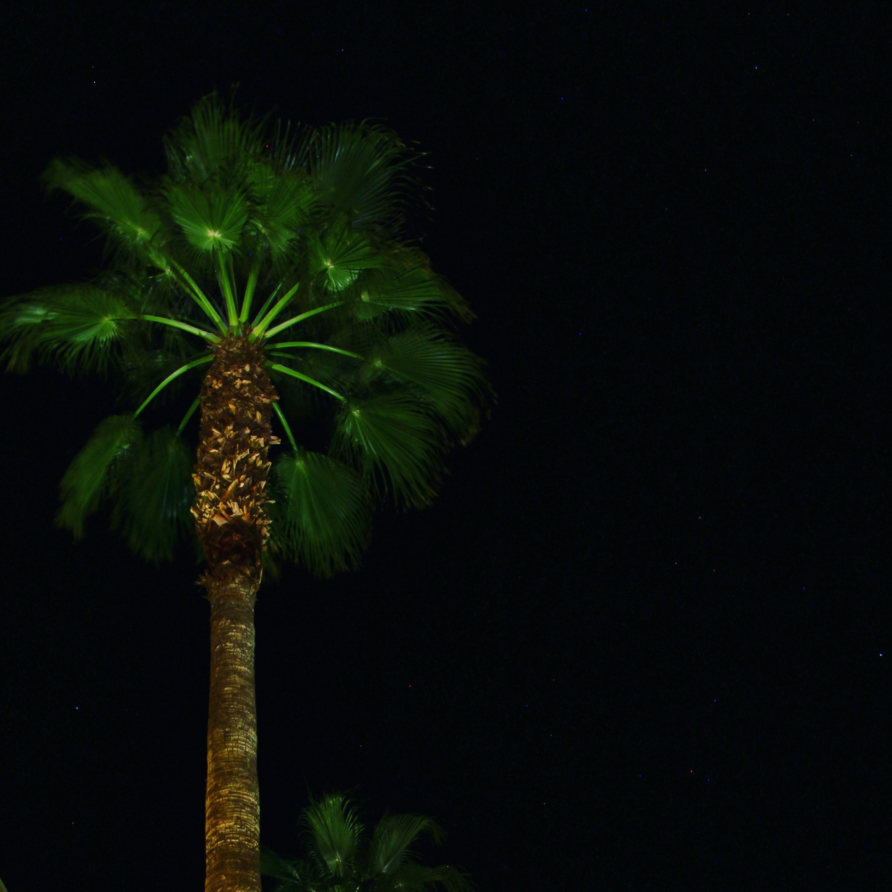 Free Unsplash photo from Saurav Atthi