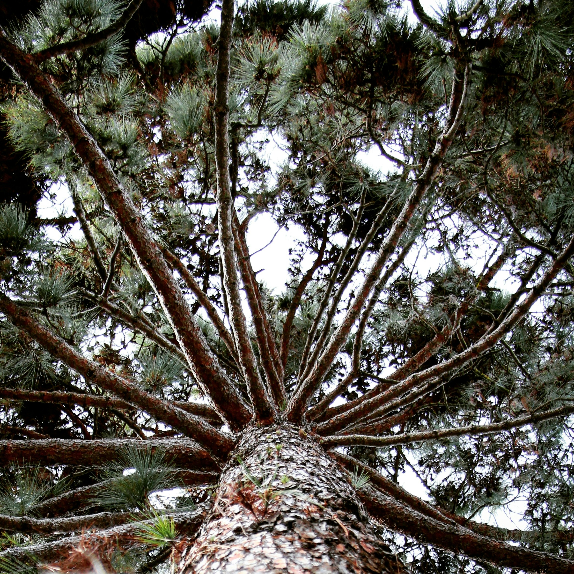 Free Unsplash photo from Saurav Atthi