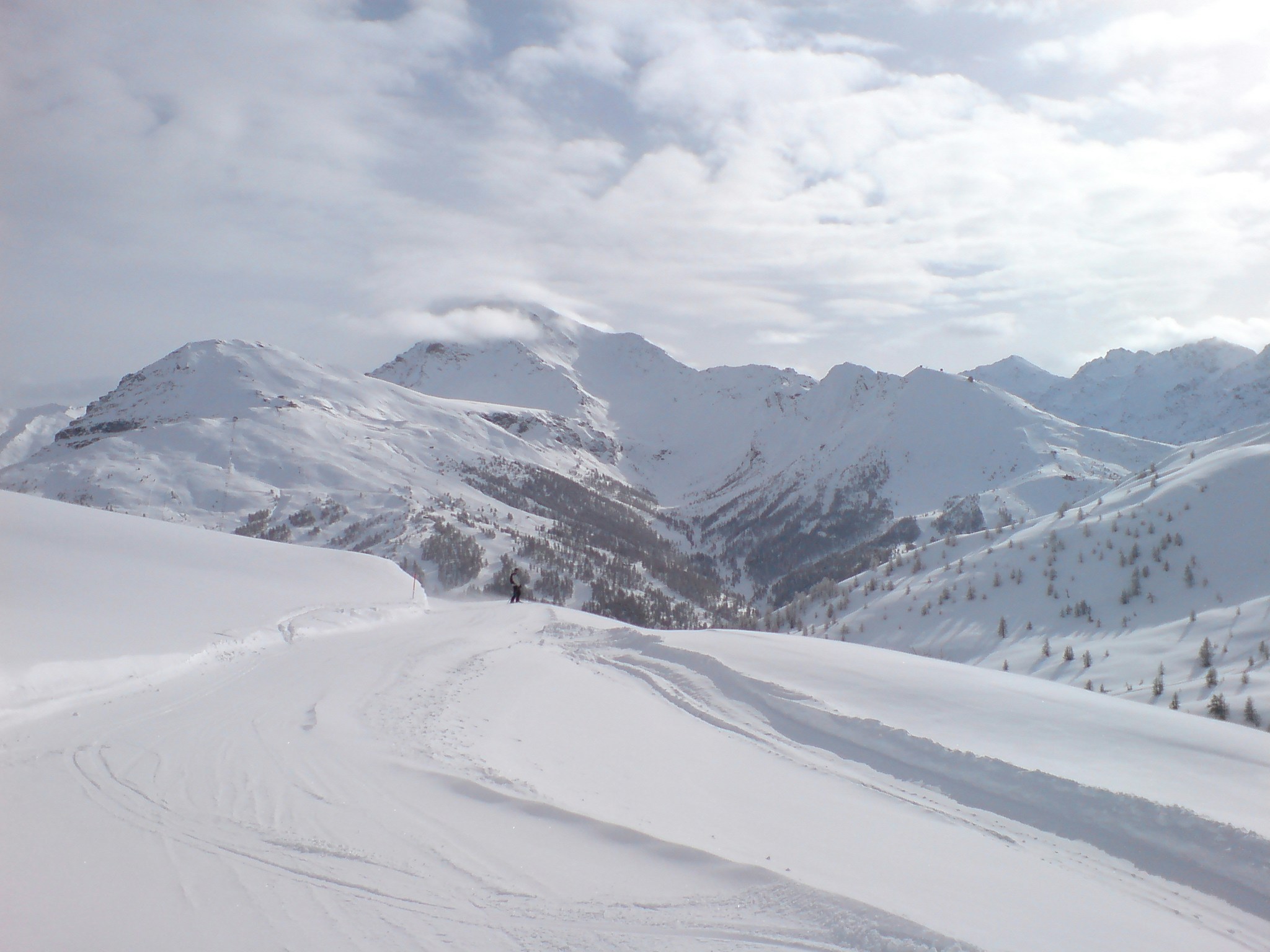 Free Unsplash photo from Helen Anderson