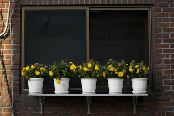 Bright ceramic plant pots arranged on a modern outdoor shelf with blooming flowers inside.