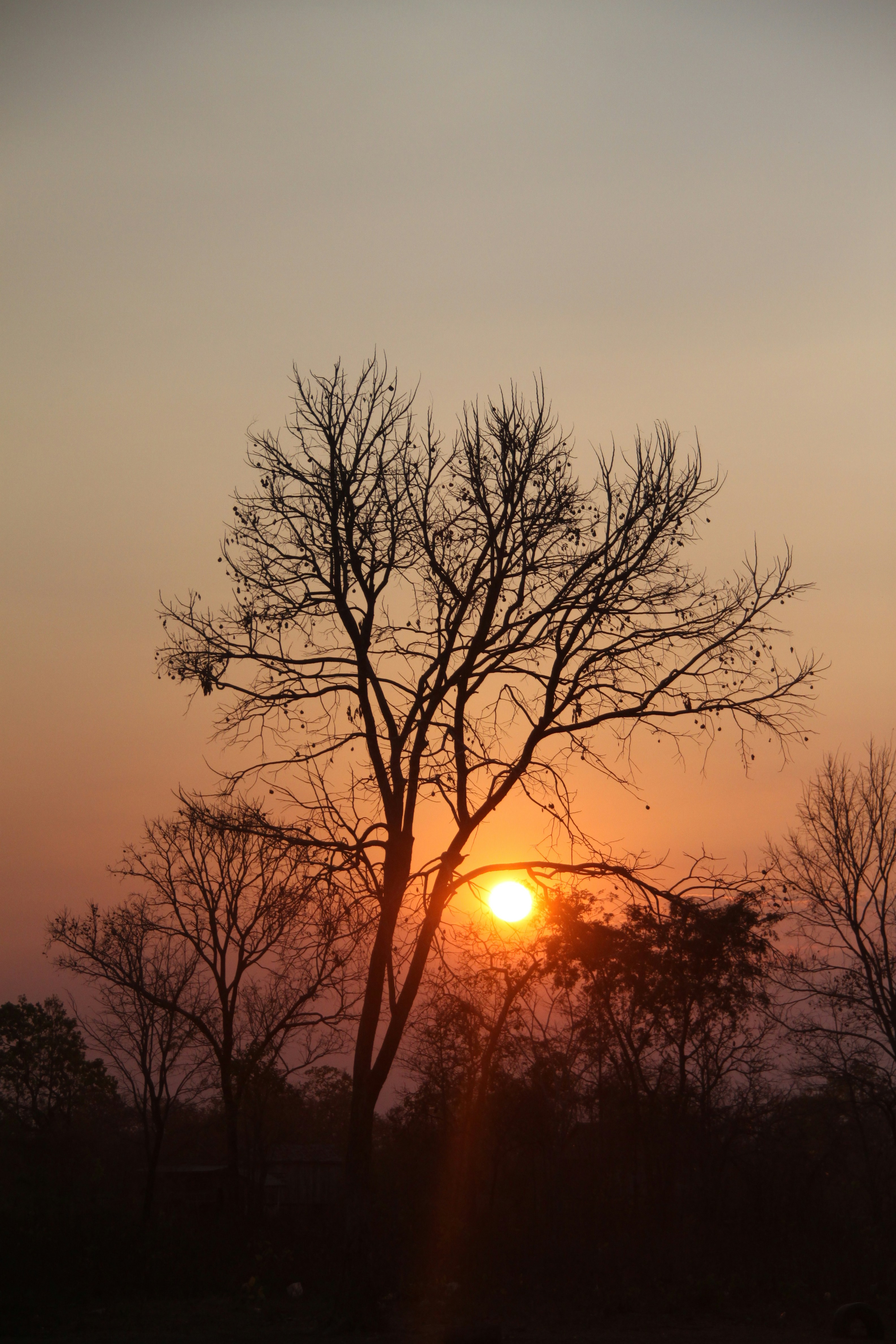 Free Unsplash photo from svprak