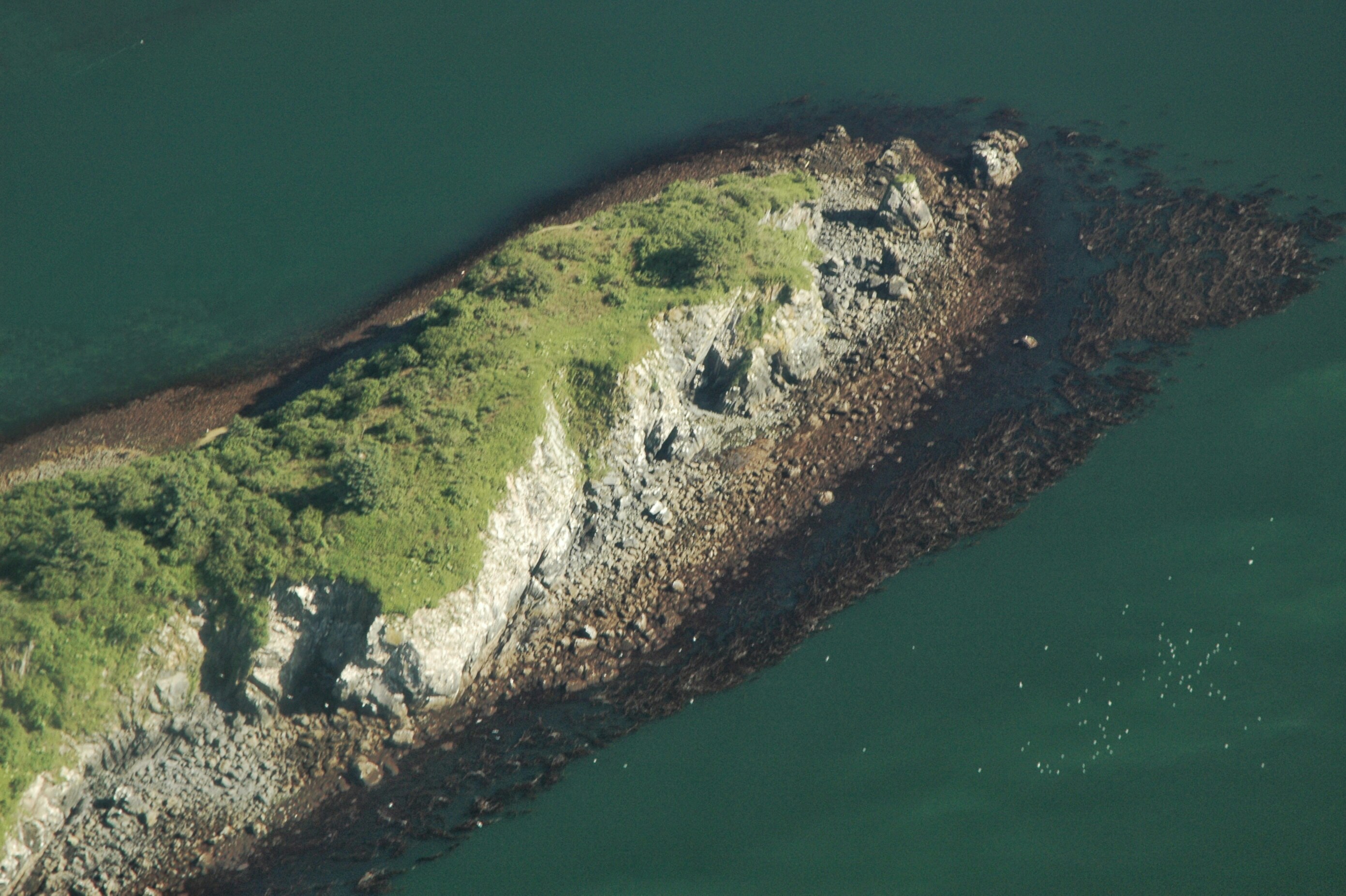 Free Unsplash photo from Dave Steinfeld