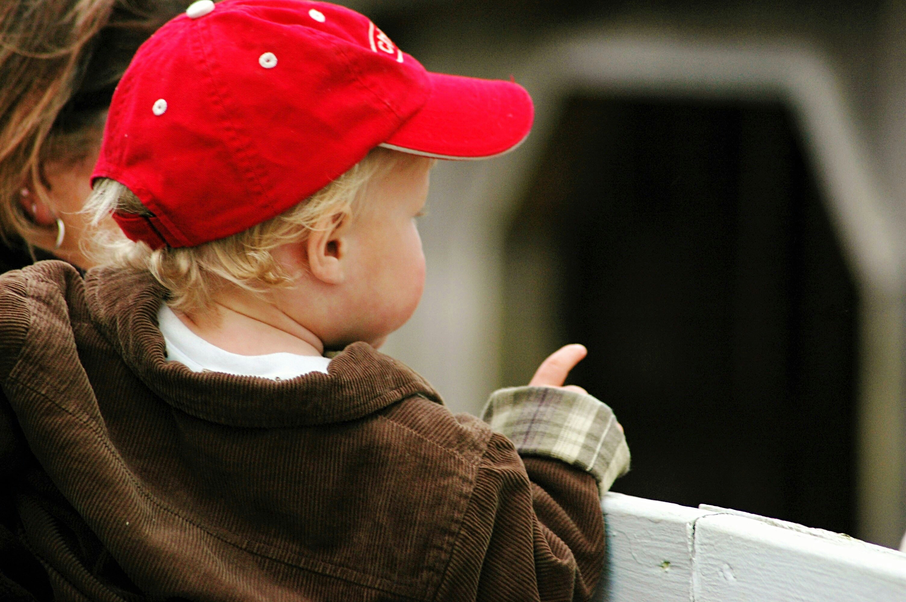 Free Unsplash photo from Dave Steinfeld