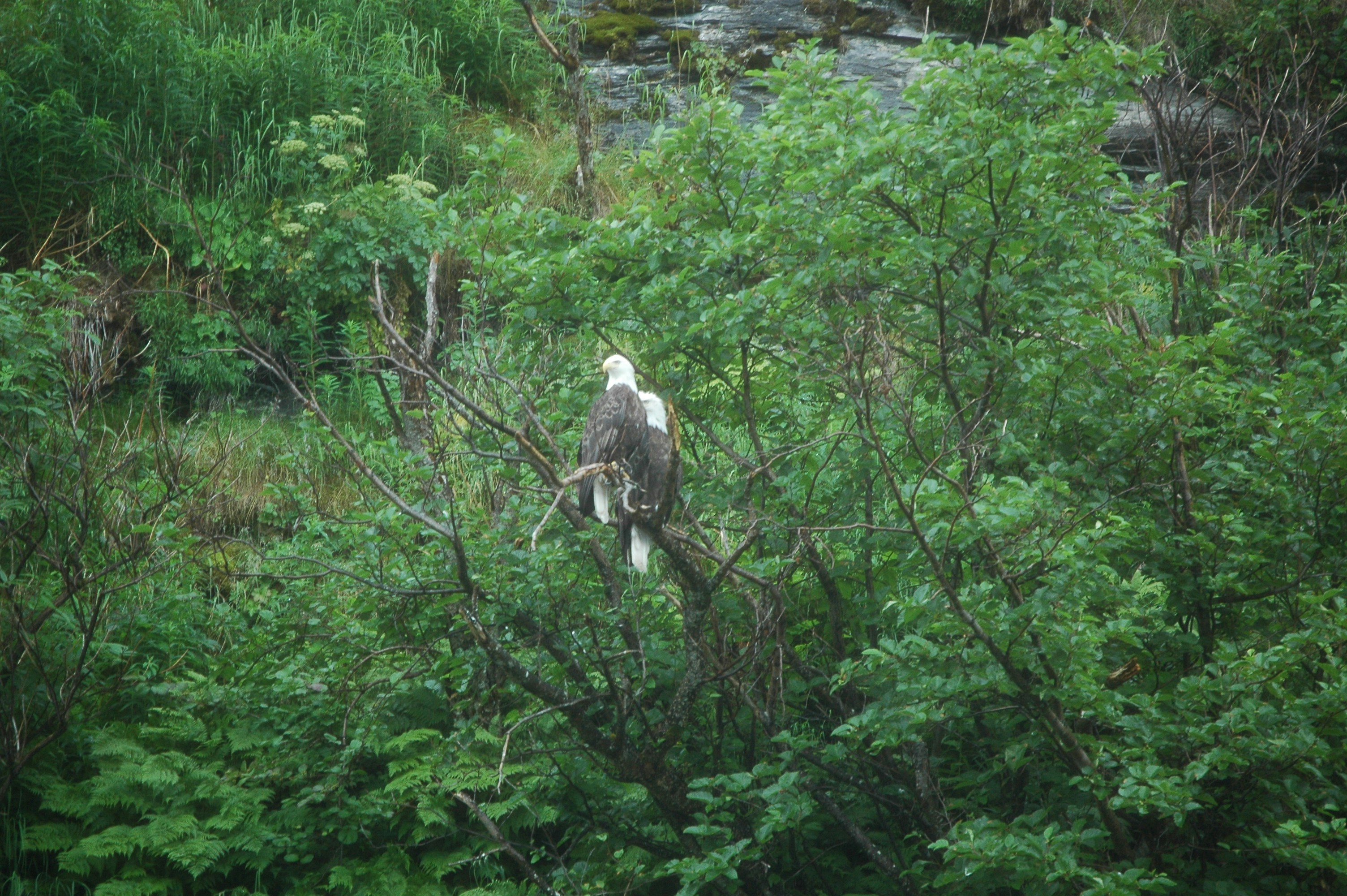 Free Unsplash photo from Dave Steinfeld