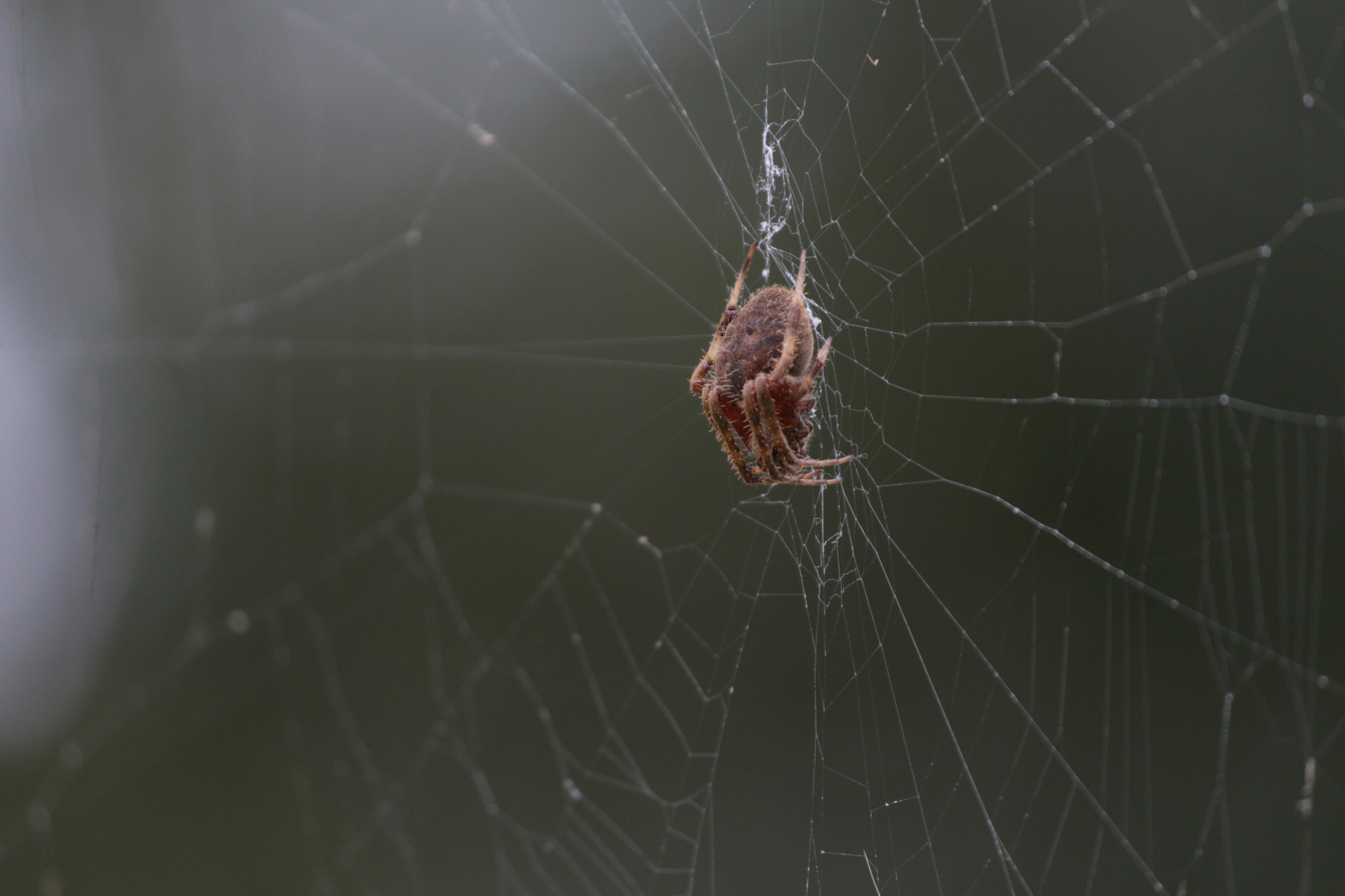 Free Unsplash photo from Jacob Ducey