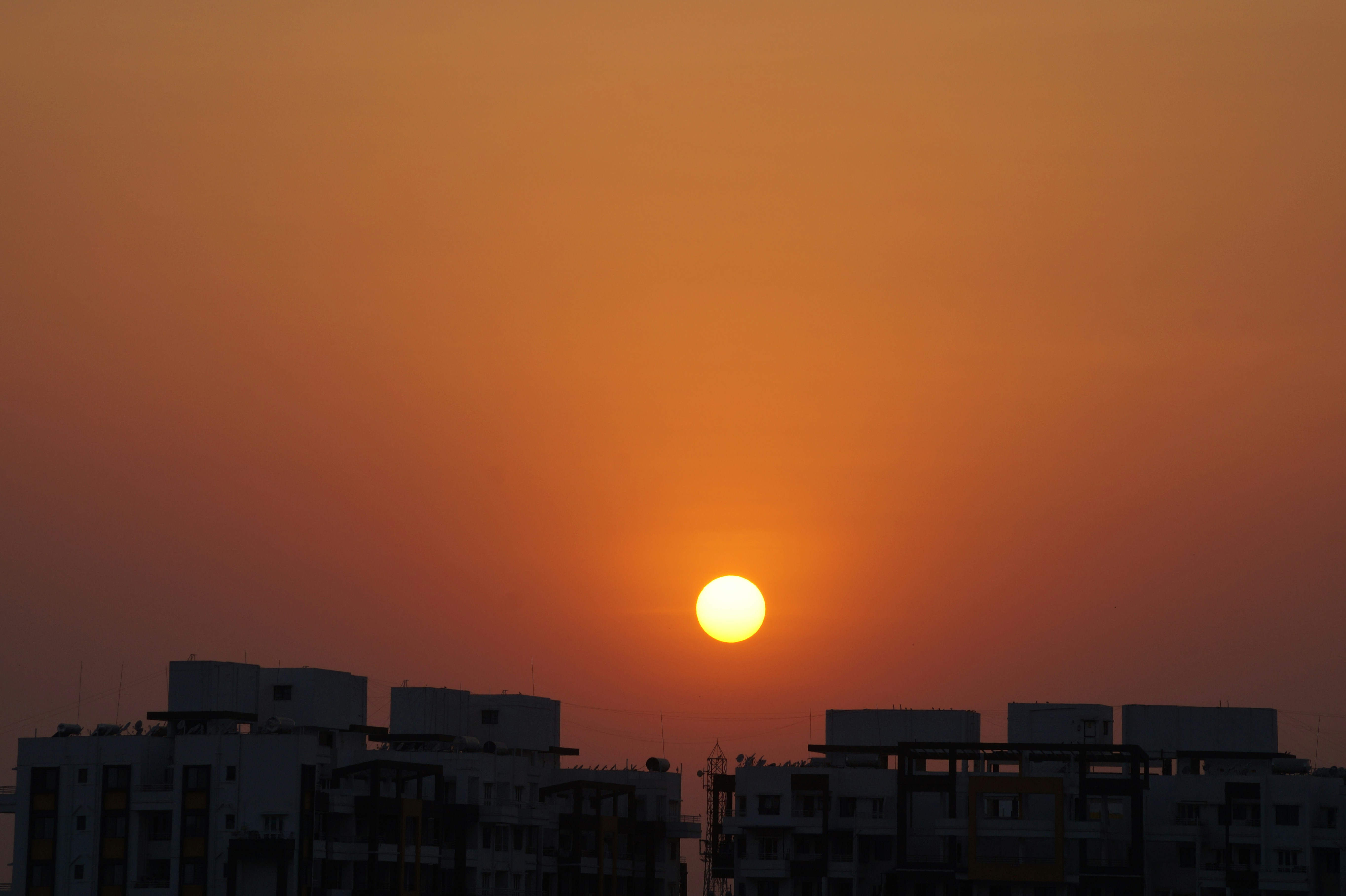 Free Unsplash photo from Ronísh Zadodé