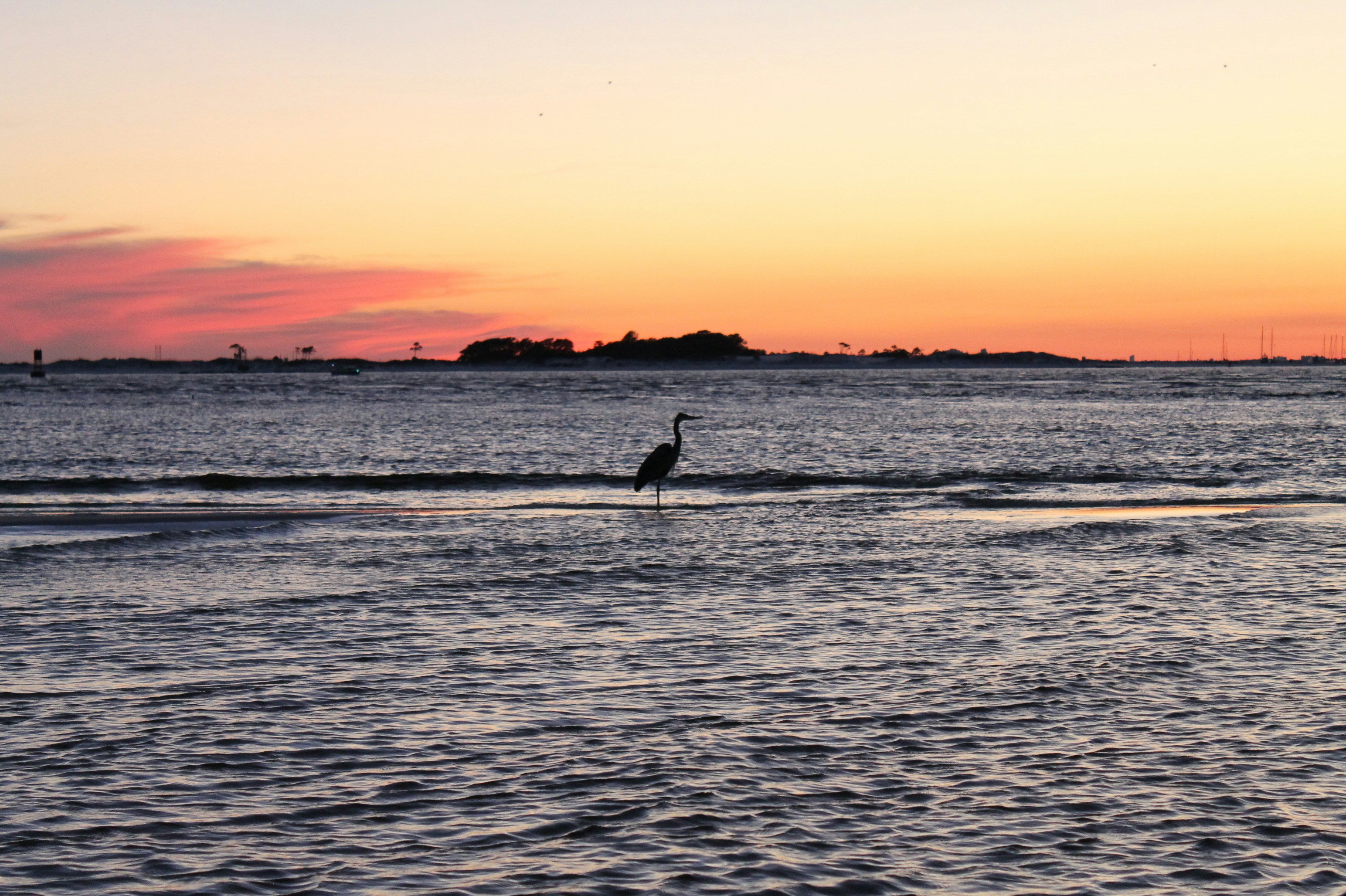 Free Unsplash photo from Jaimie Hamilton