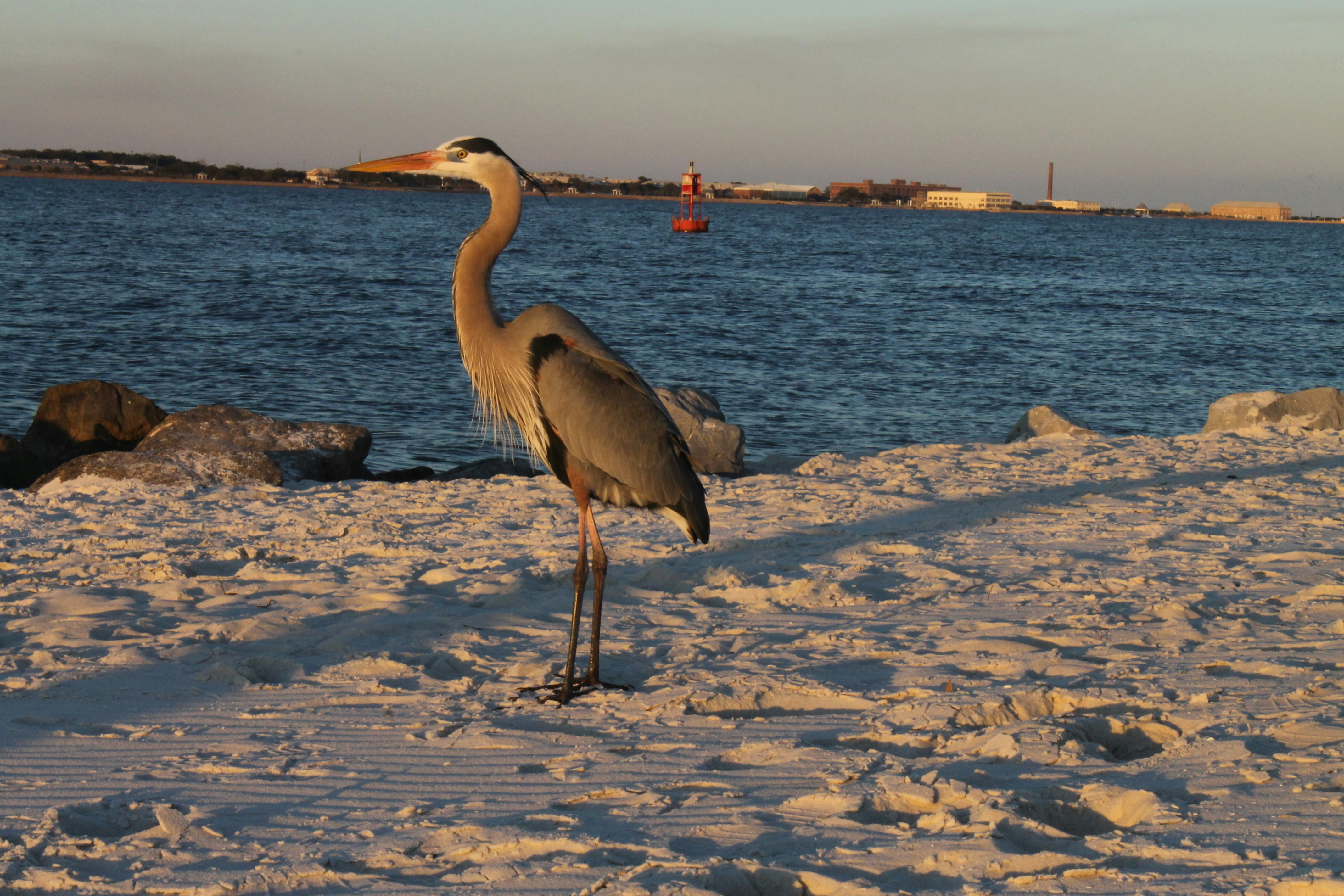 Free Unsplash photo from Jaimie Hamilton