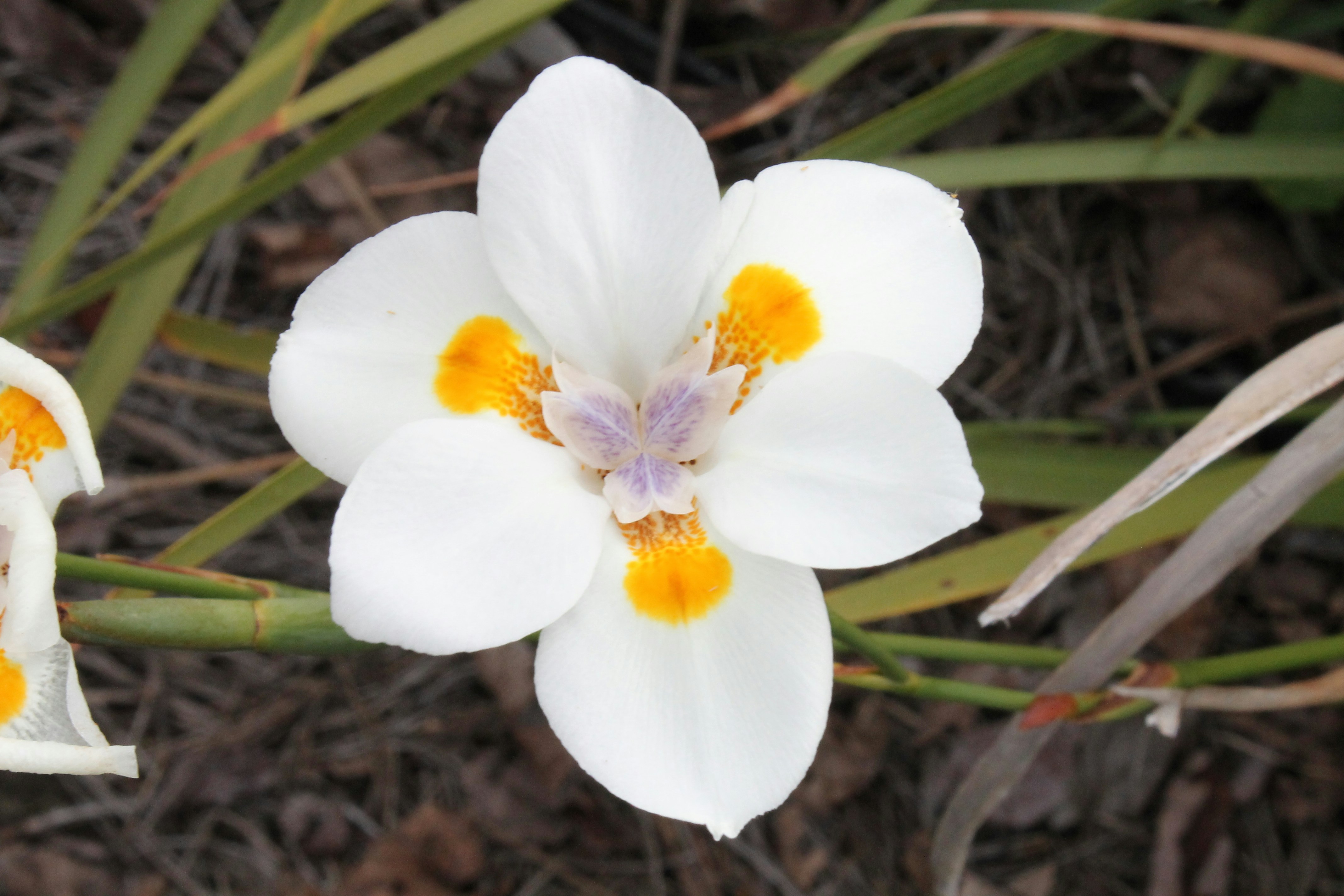 Free Unsplash photo from Jaimie Hamilton