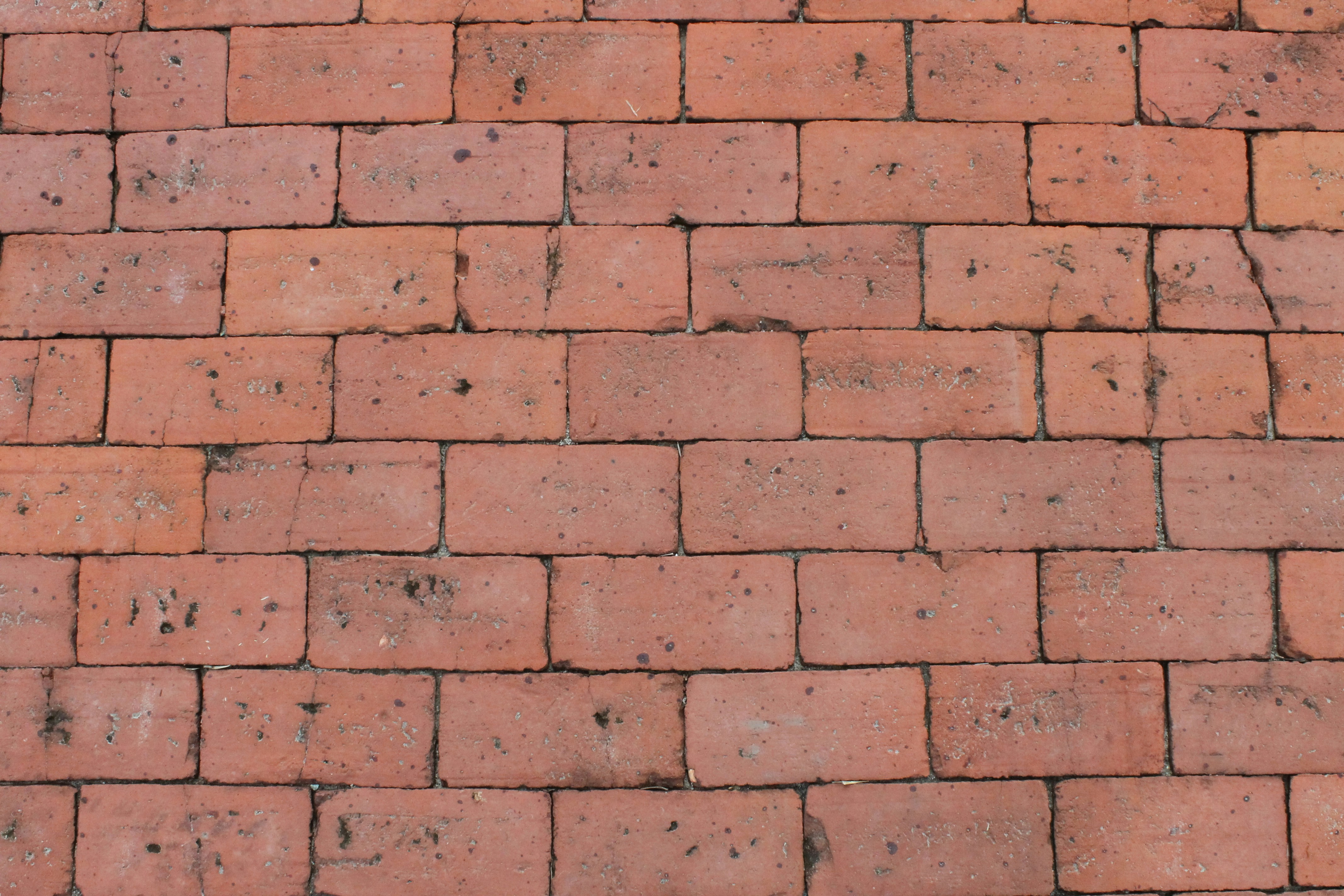 Free Unsplash photo from Jaimie Hamilton