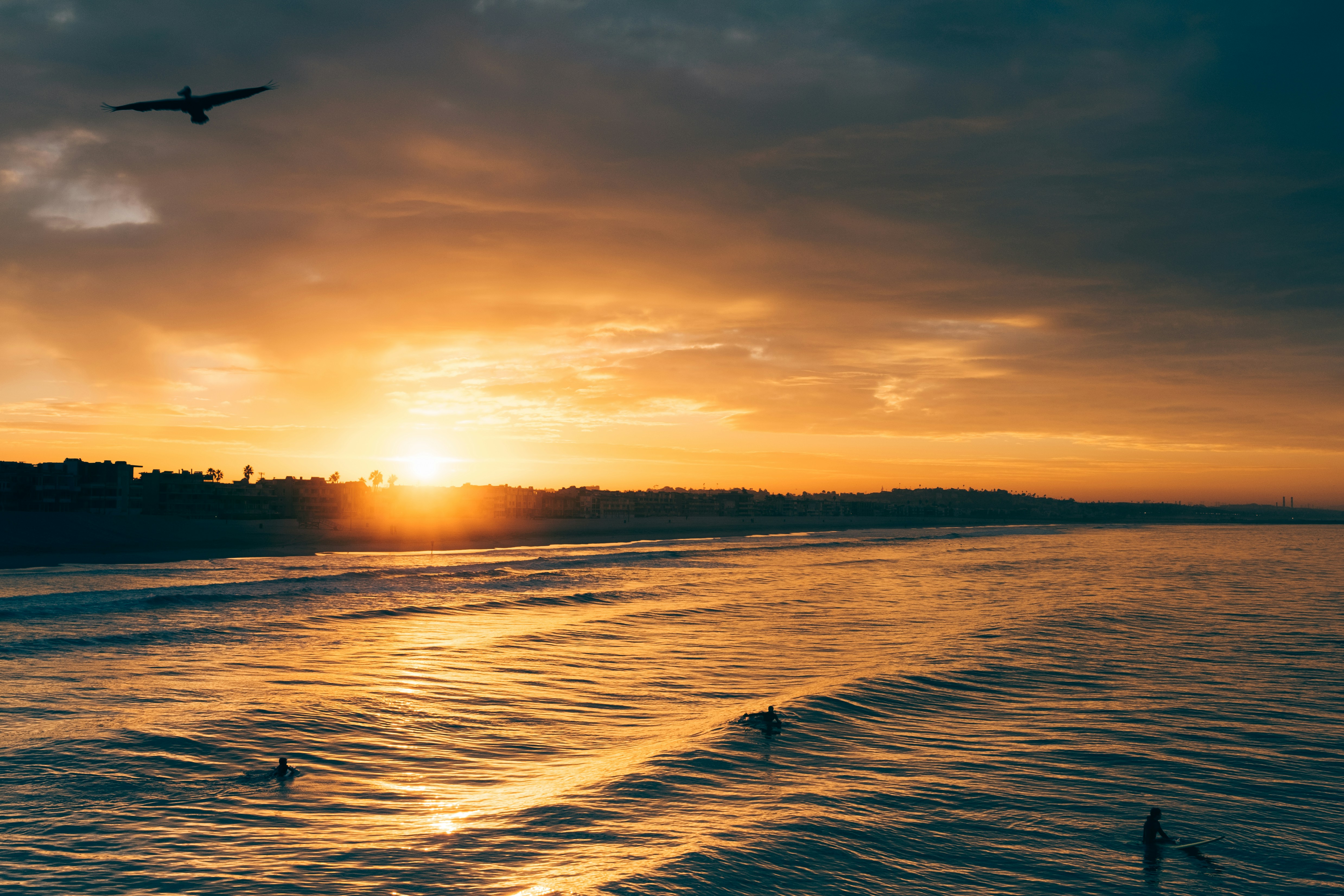 Free Unsplash photo from Brian Li