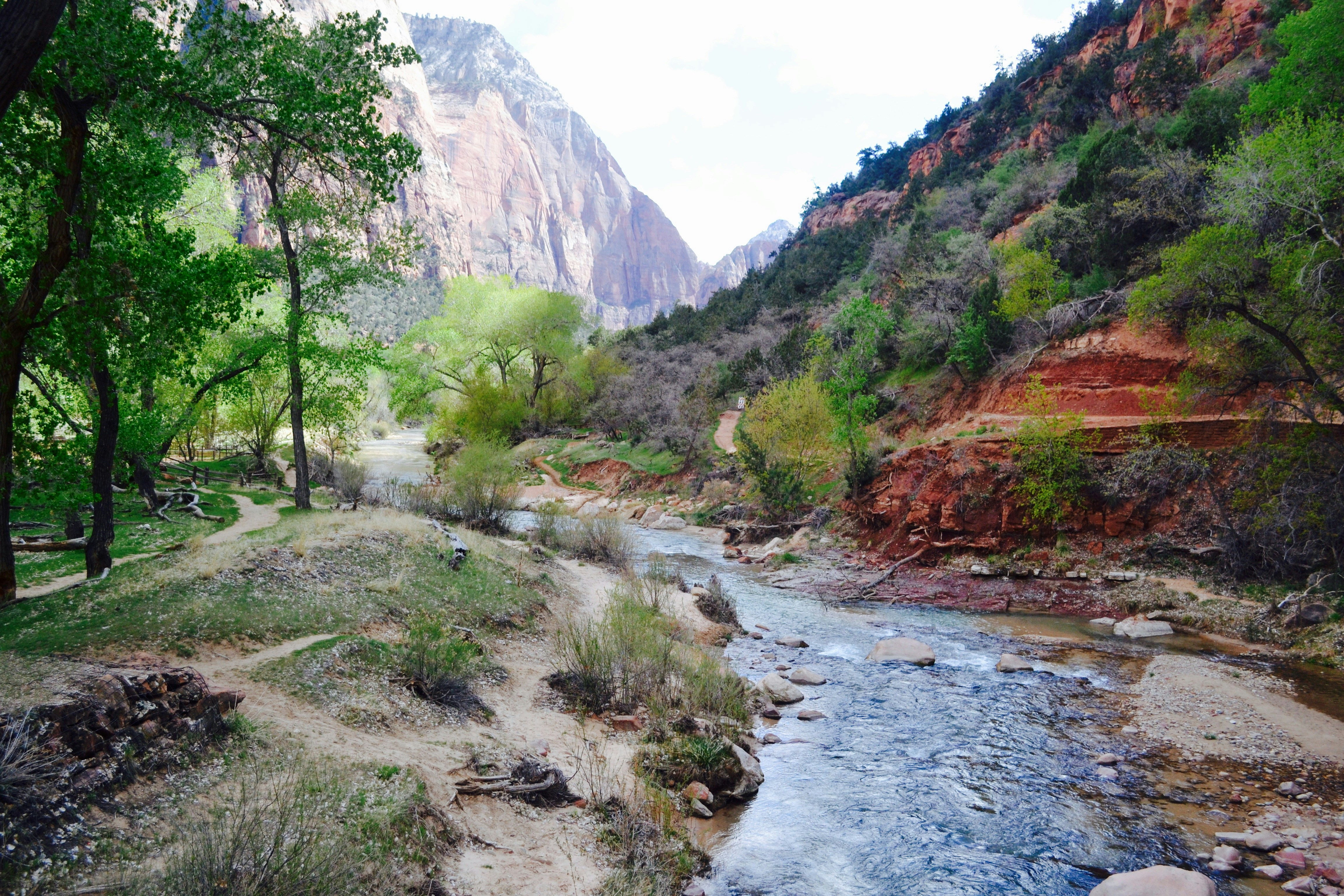 Free Unsplash photo from Kate Trahan