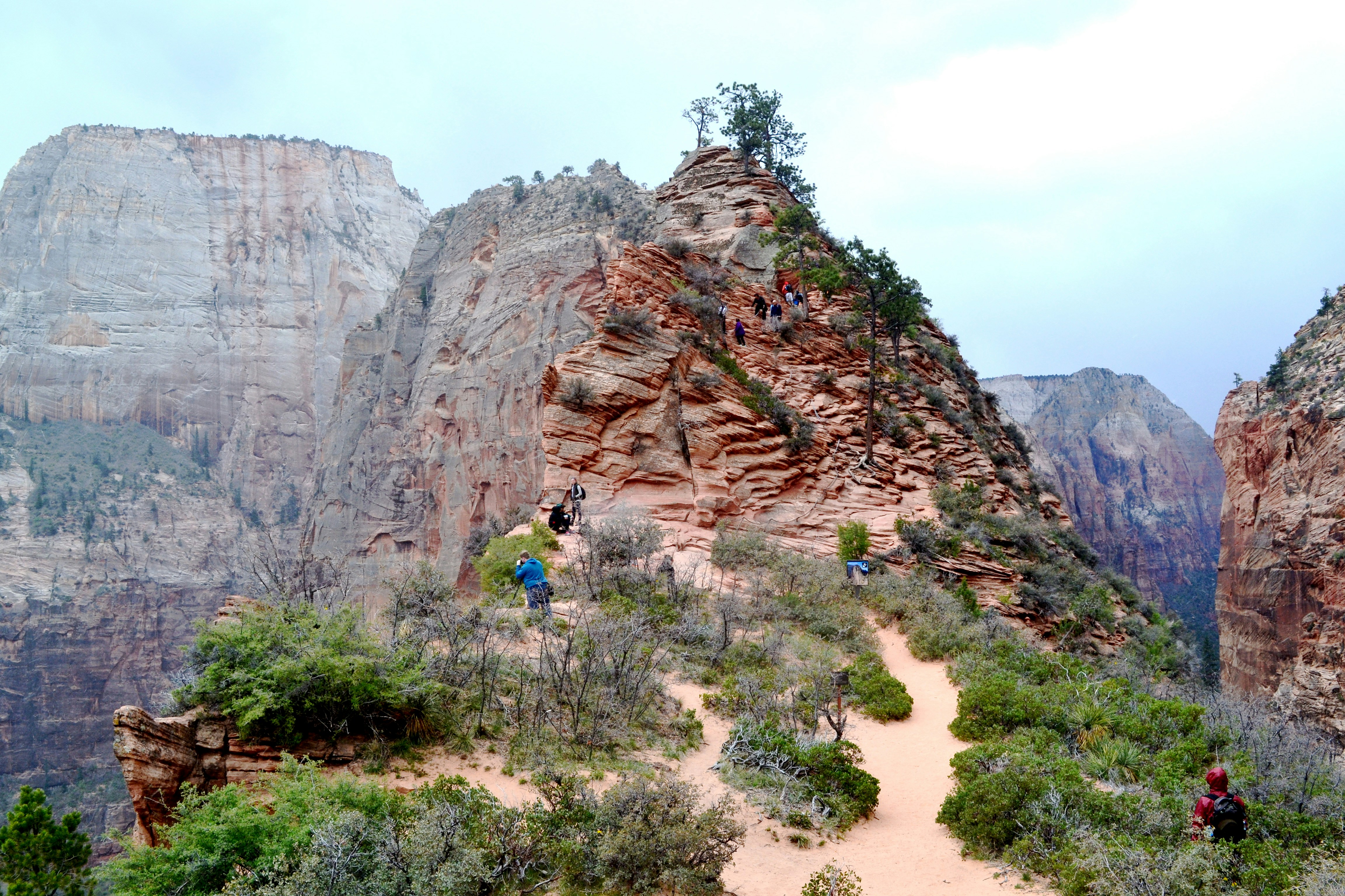 Free Unsplash photo from Kate Trahan