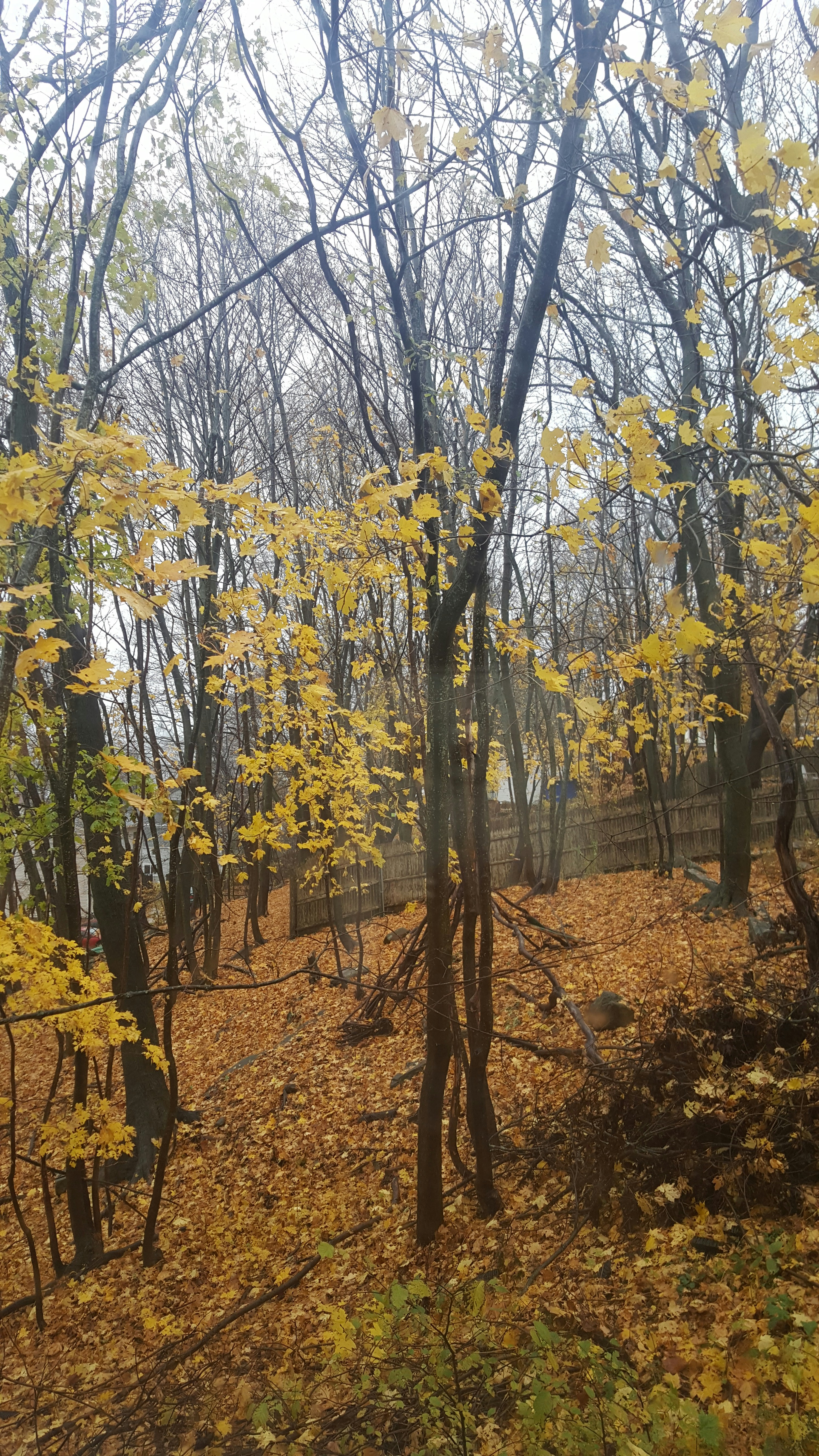 Free Unsplash photo from Aasha Edwards