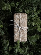brown and white gift box