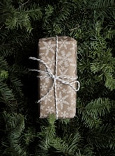 A rectangular gift wrapped in brown paper with white snowflake designs is tied with a white string. The gift is resting on a backdrop of lush green pine branches.