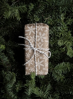 A rectangular gift wrapped in brown paper with white snowflake designs is tied with a white string. The gift is resting on a backdrop of lush green pine branches.