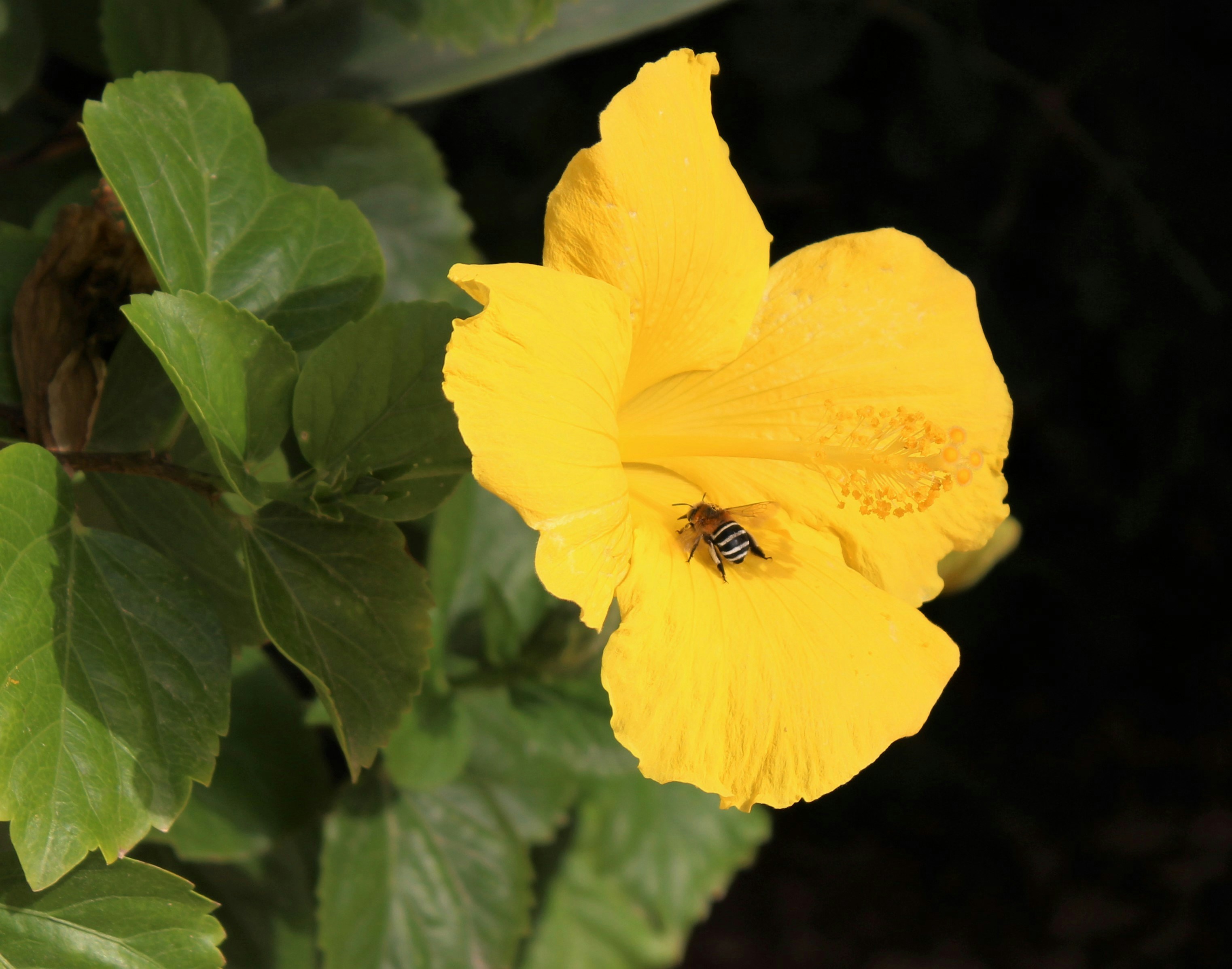 Free Unsplash photo from Deirdre Walsh