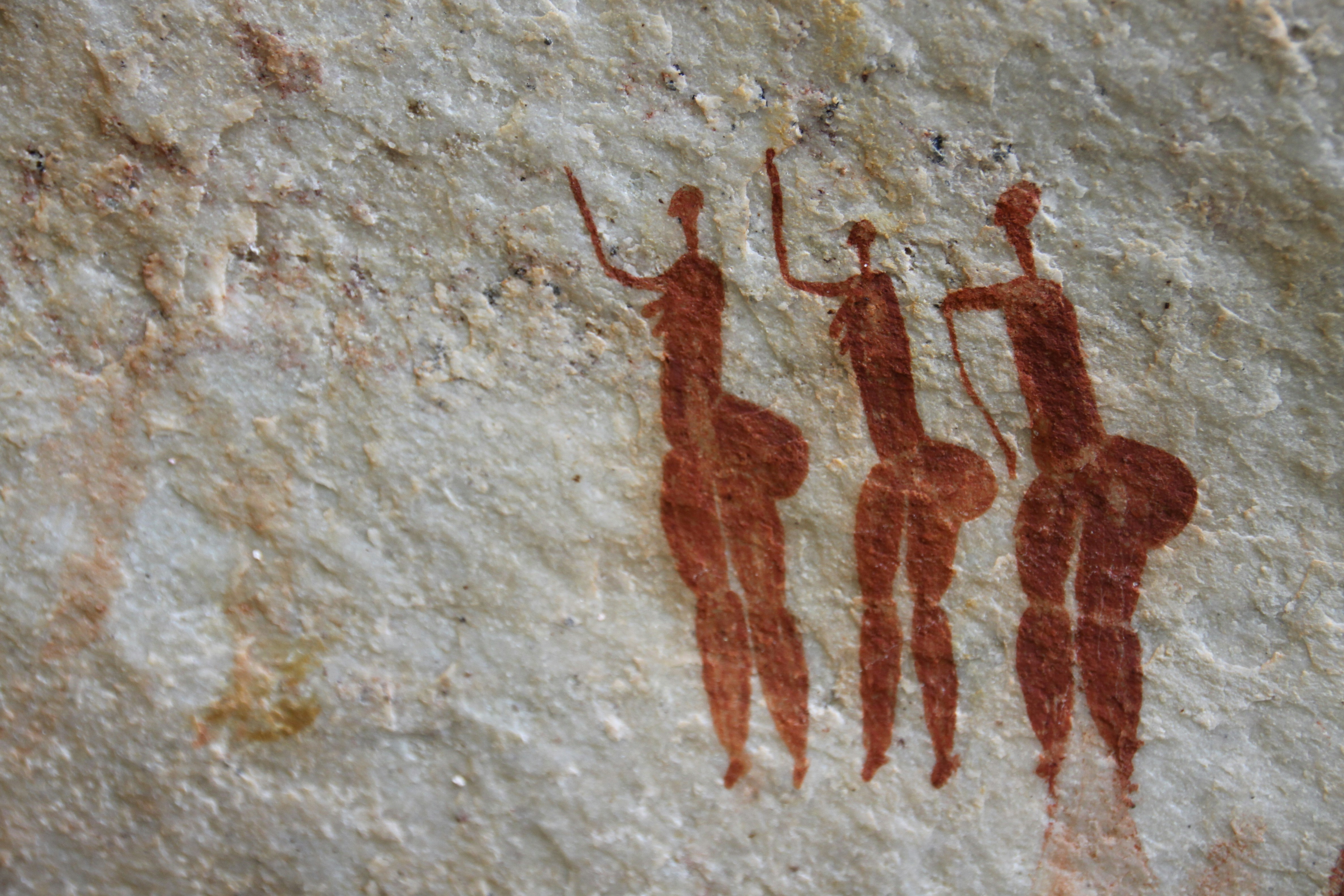 Free Unsplash photo from Andries du Bruyn