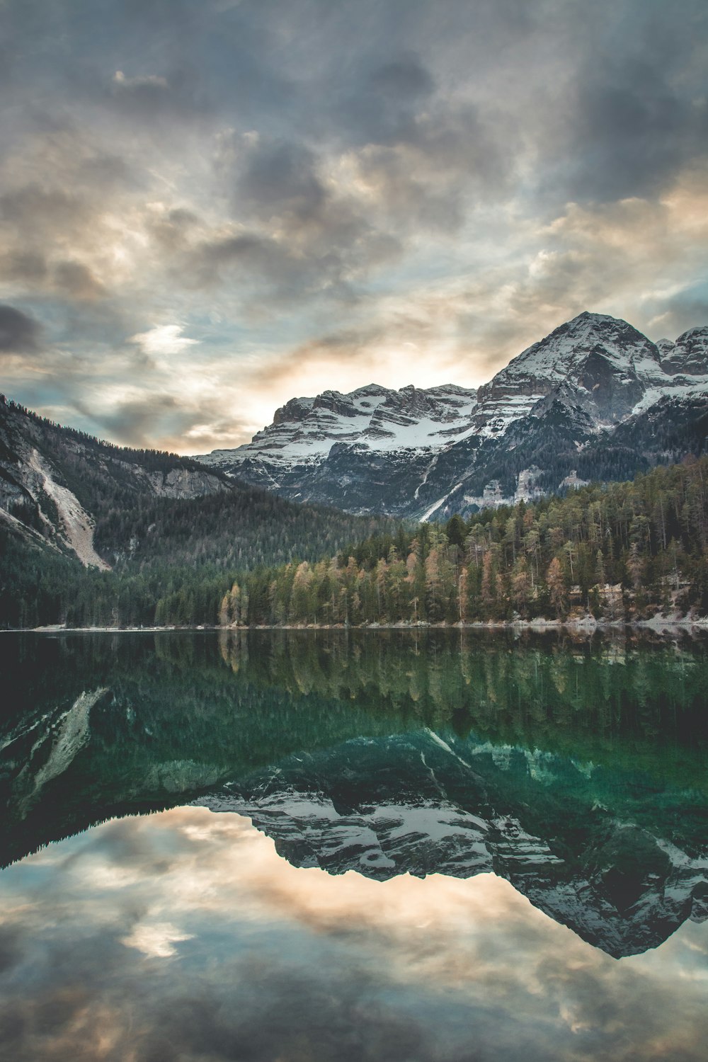 scenery of trees and mountain