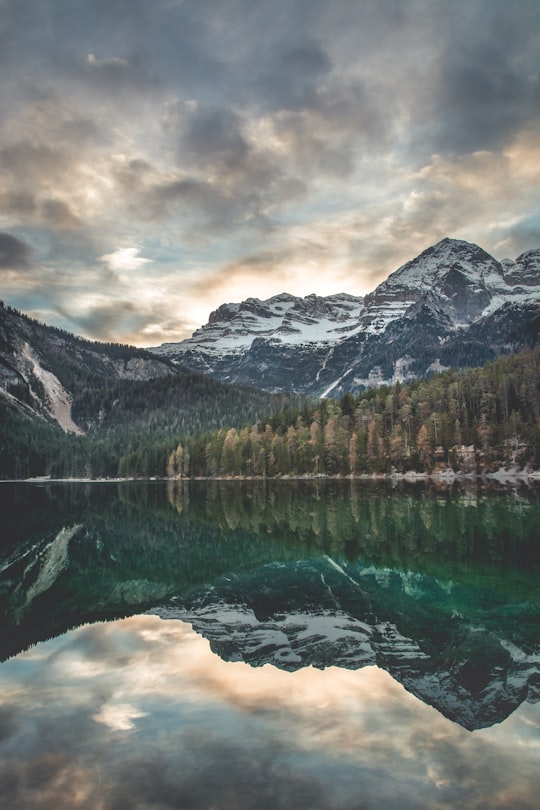 scenery of trees and mountain in Tovel Italy