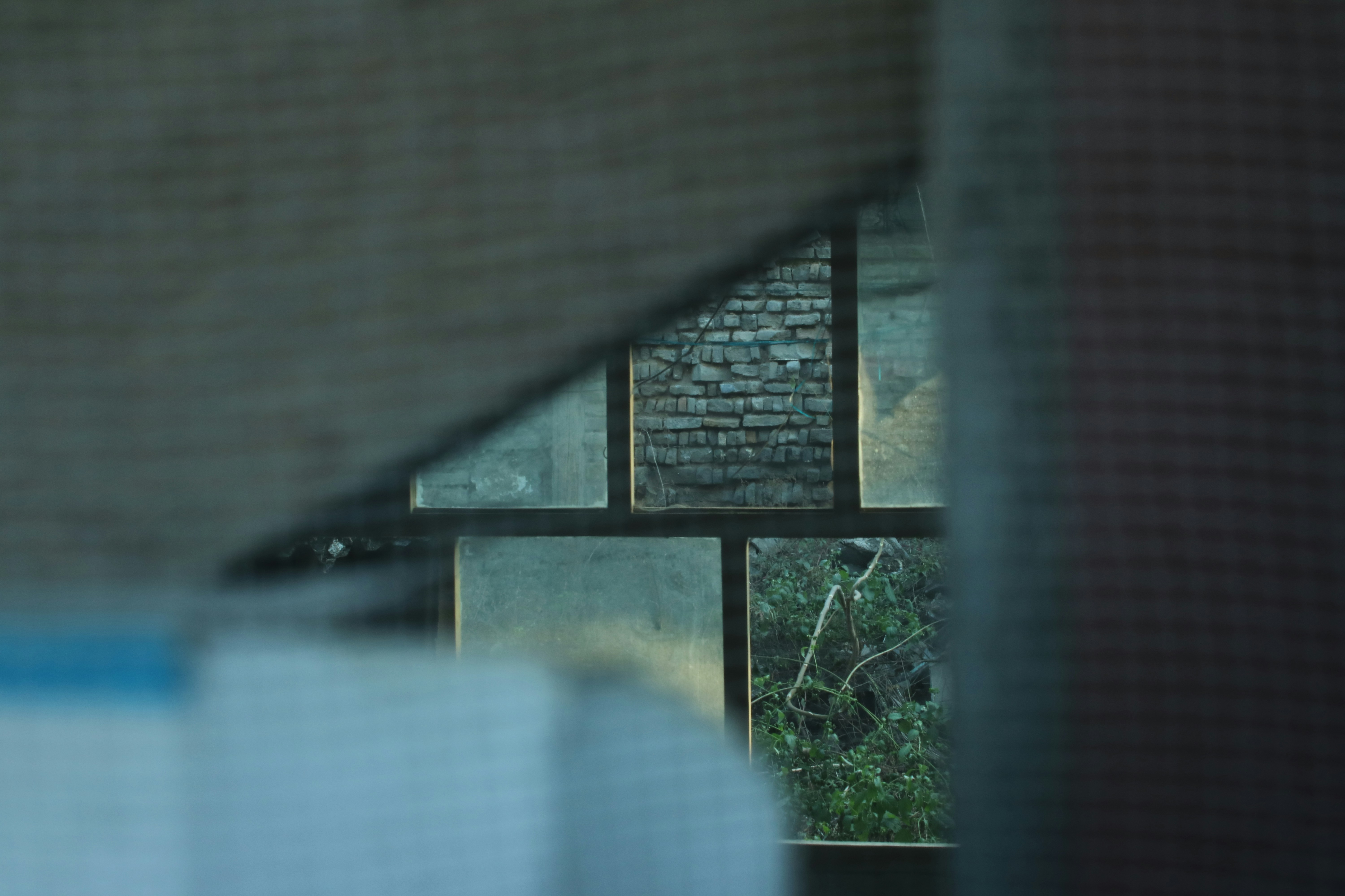 Free Unsplash photo from Alamo Young